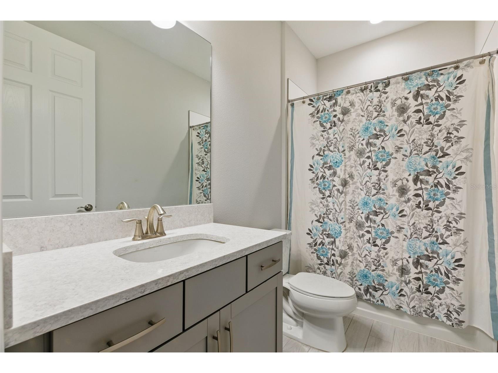 12887 Tortoise Shell Place Riverview FL 33579 O6280911 image30