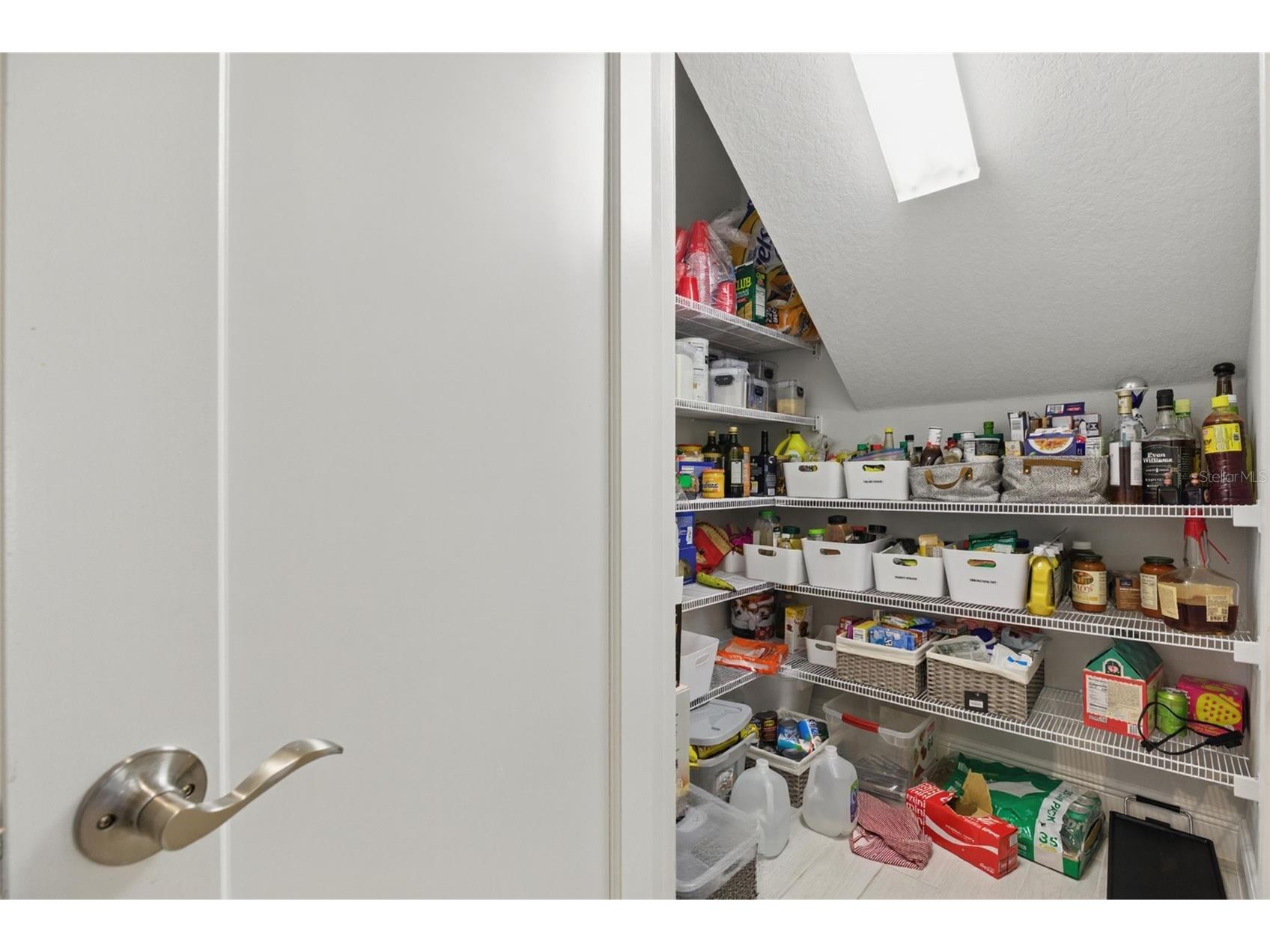 12887 Tortoise Shell Place Riverview FL 33579 O6280911 image31