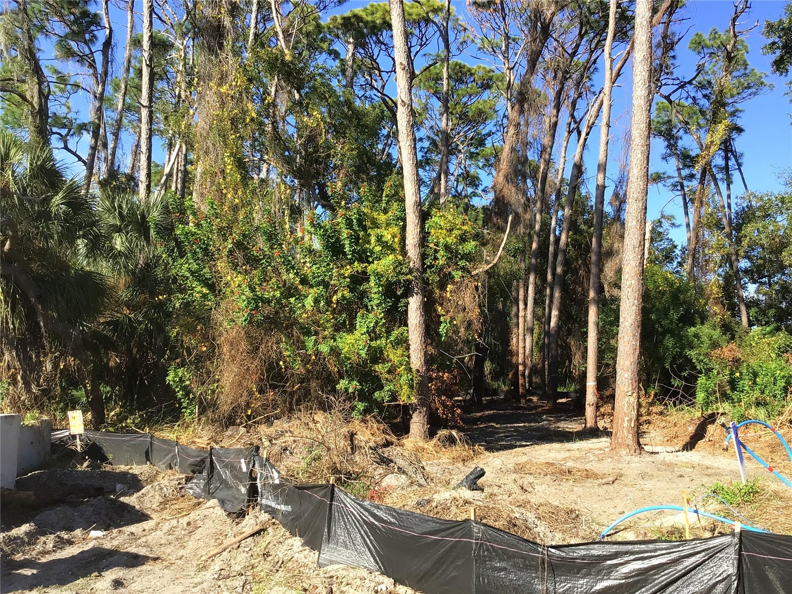 1289 Almaria Court Palm Harbor FL 34683 U8246170 image1