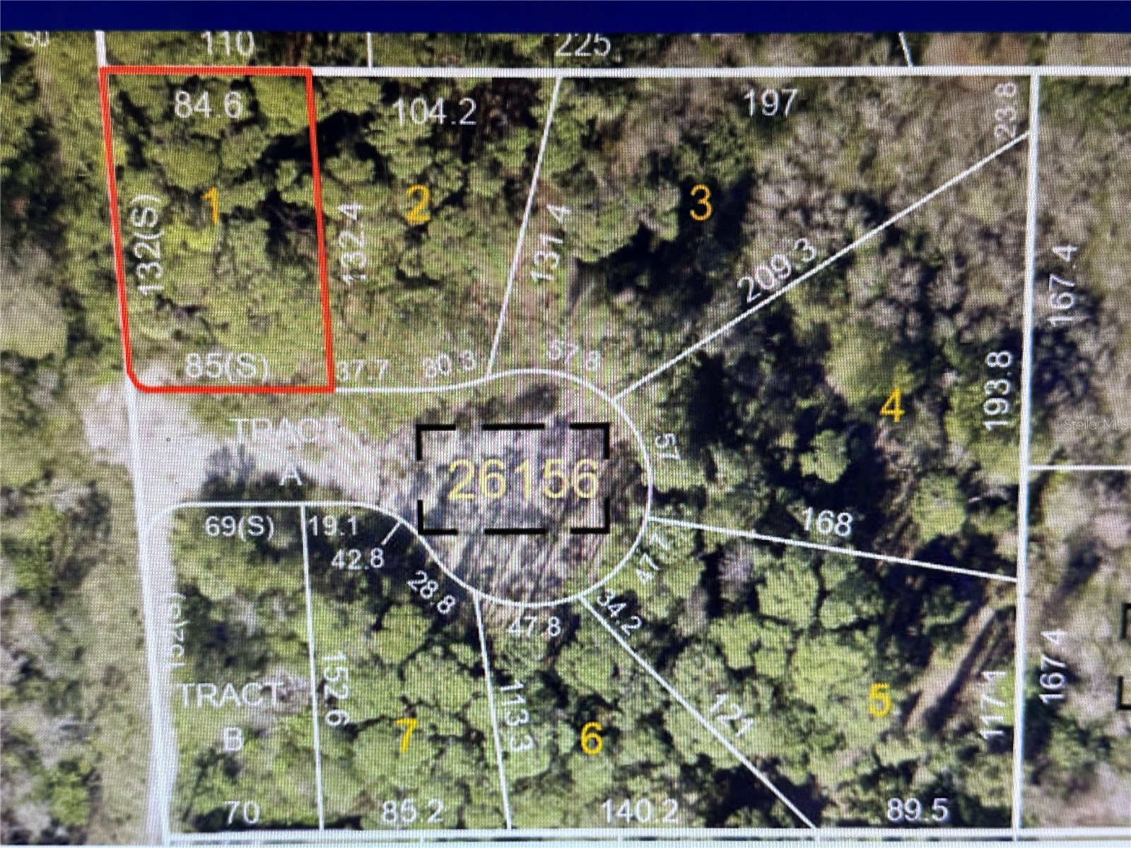 1289 Almaria Court Palm Harbor FL 34683 U8246170 image2