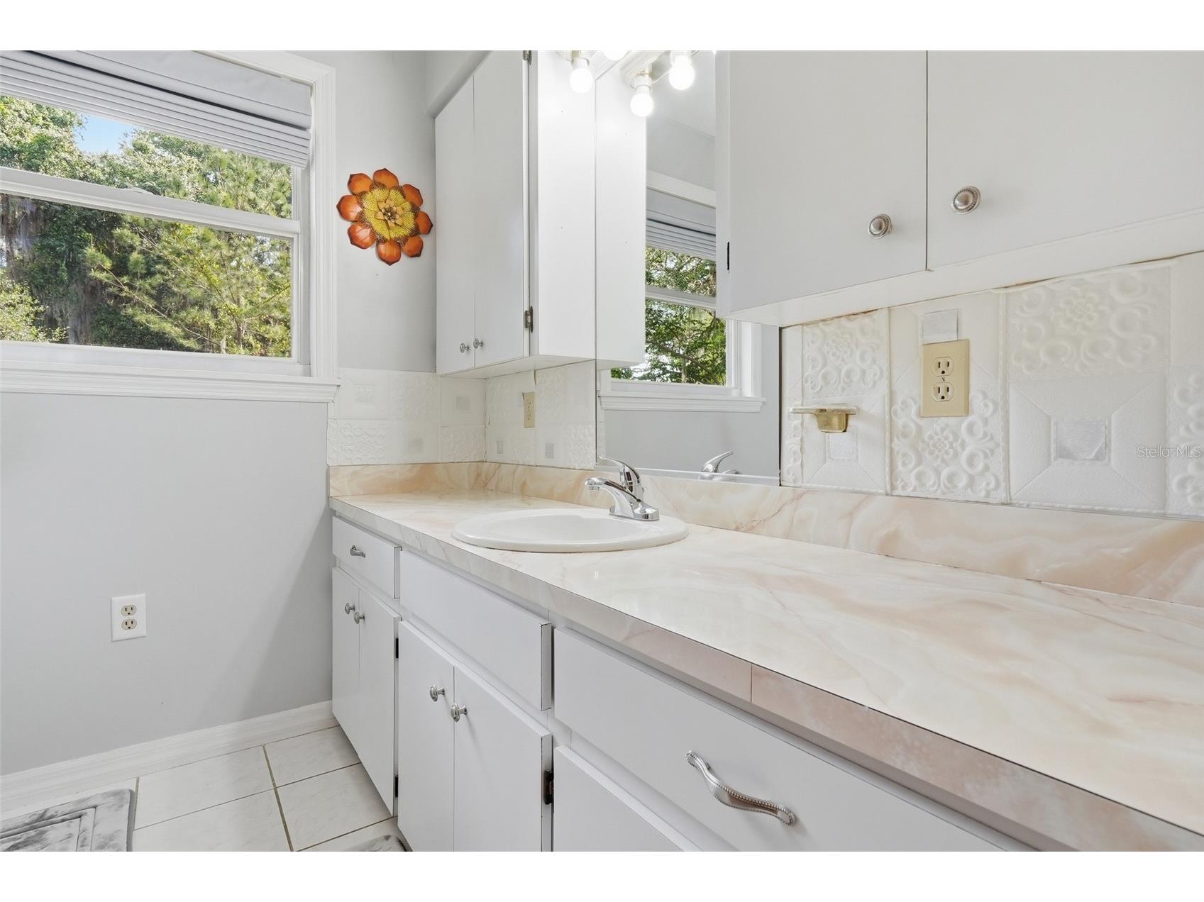 1289 Cr 436 Lake Panasoffkee FL 33538 G5111514 image16