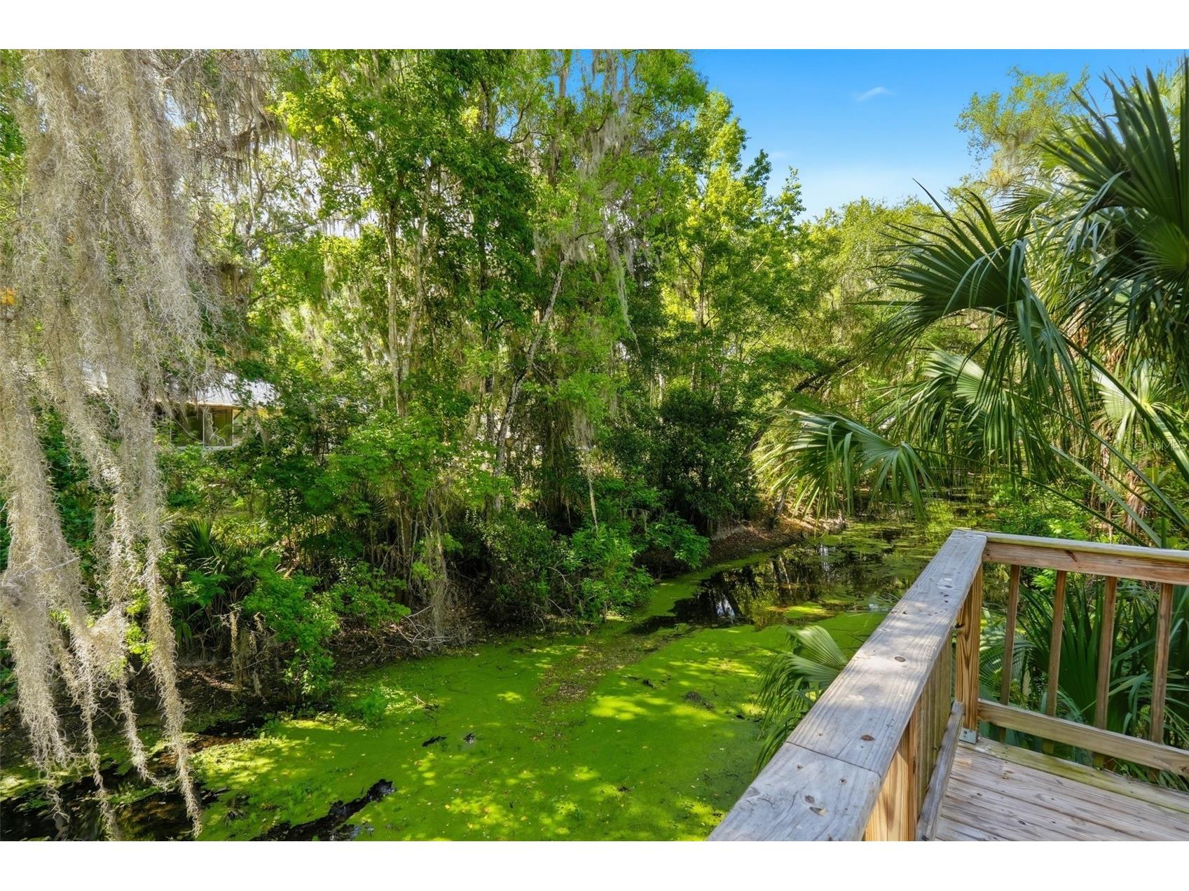 1289 Cr 436 Lake Panasoffkee FL 33538 G5111514 image37