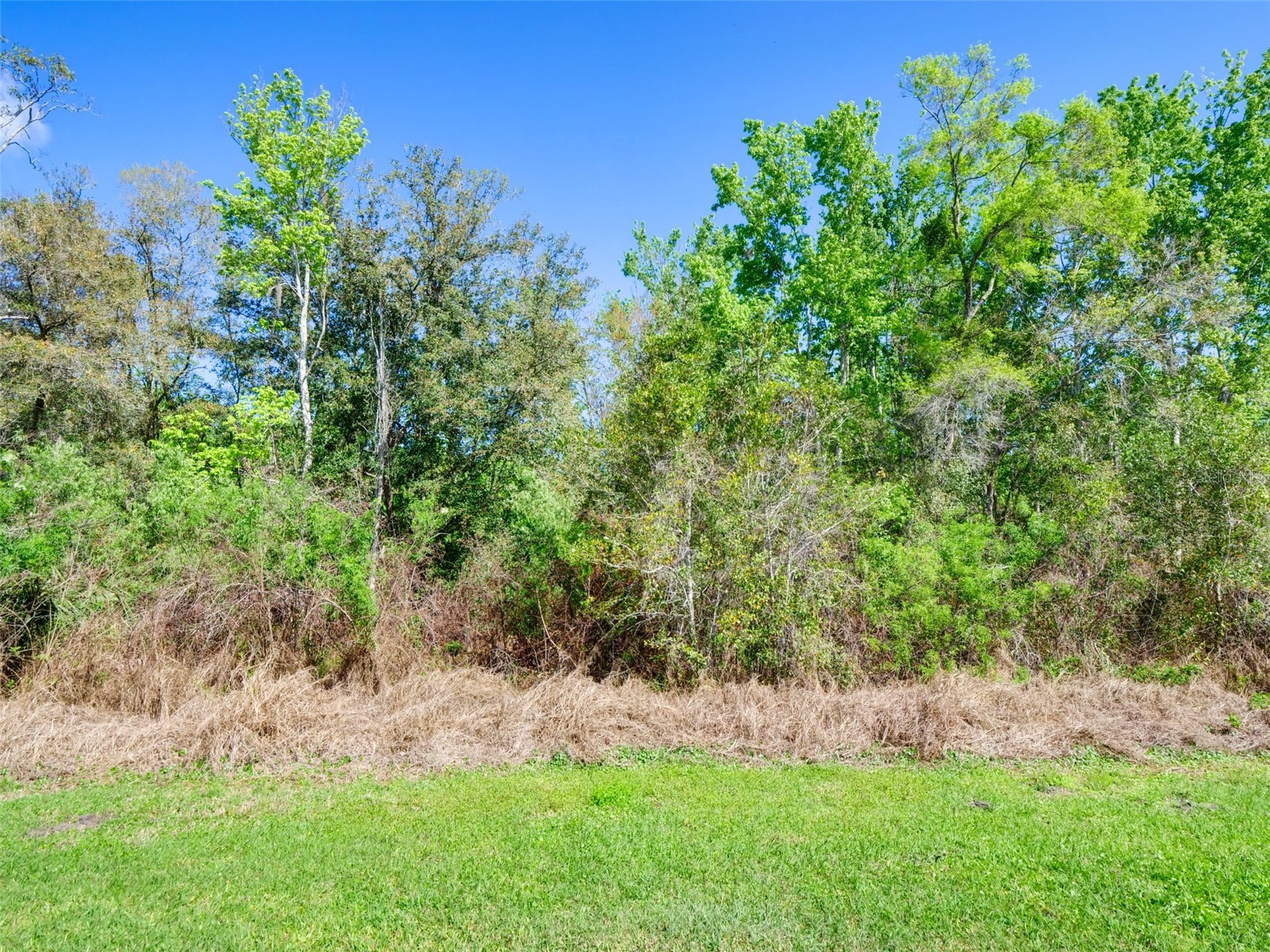 1289 Yellow Finch Drive Davenport FL 33837 O6388911 image37