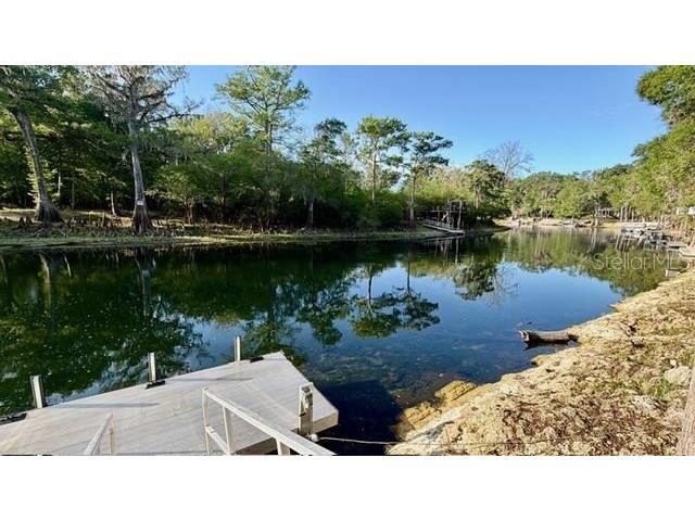12890 NE 21st Terrace Branford FL 32008 - SANTA FE RIVER GC539437 image9