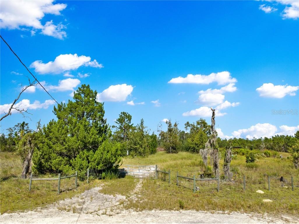 12891 SE 71st Street Morriston FL 32668 G5103147 image4