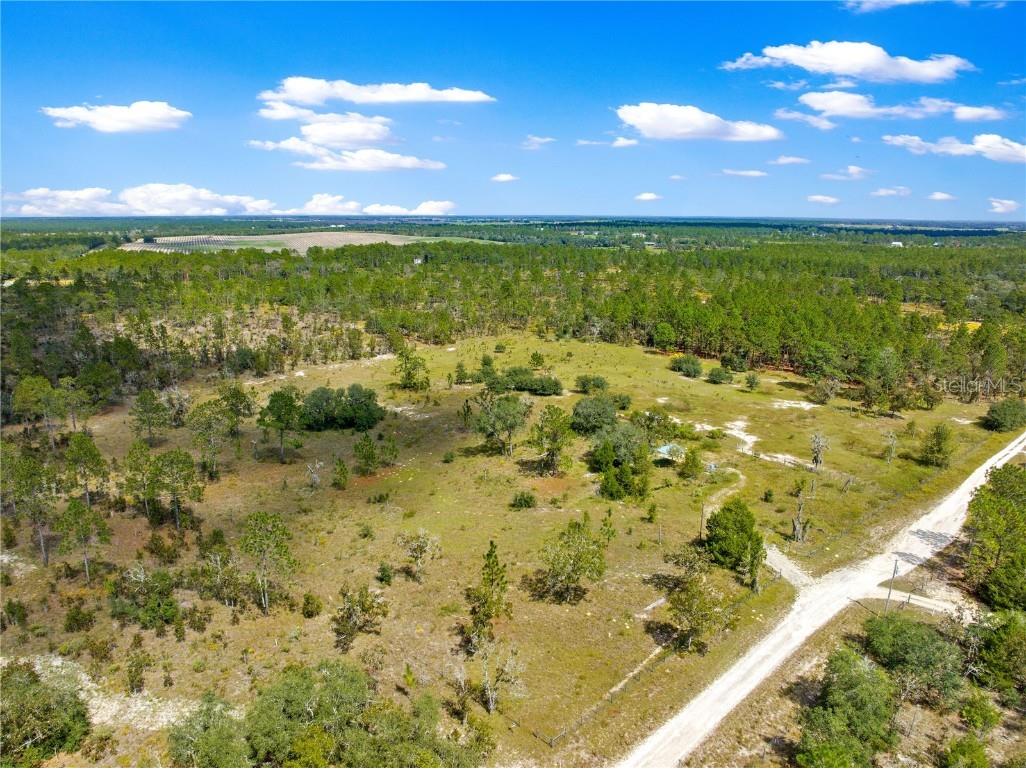 12891 SE 71st Street Morriston FL 32668 G5103147 image9