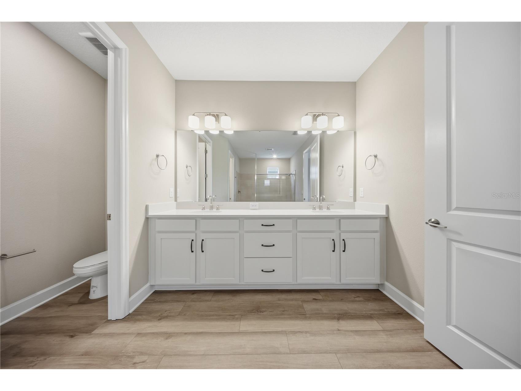 12893 Harvest Rain Avenue Winter Garden FL 34787 O6381091 image30