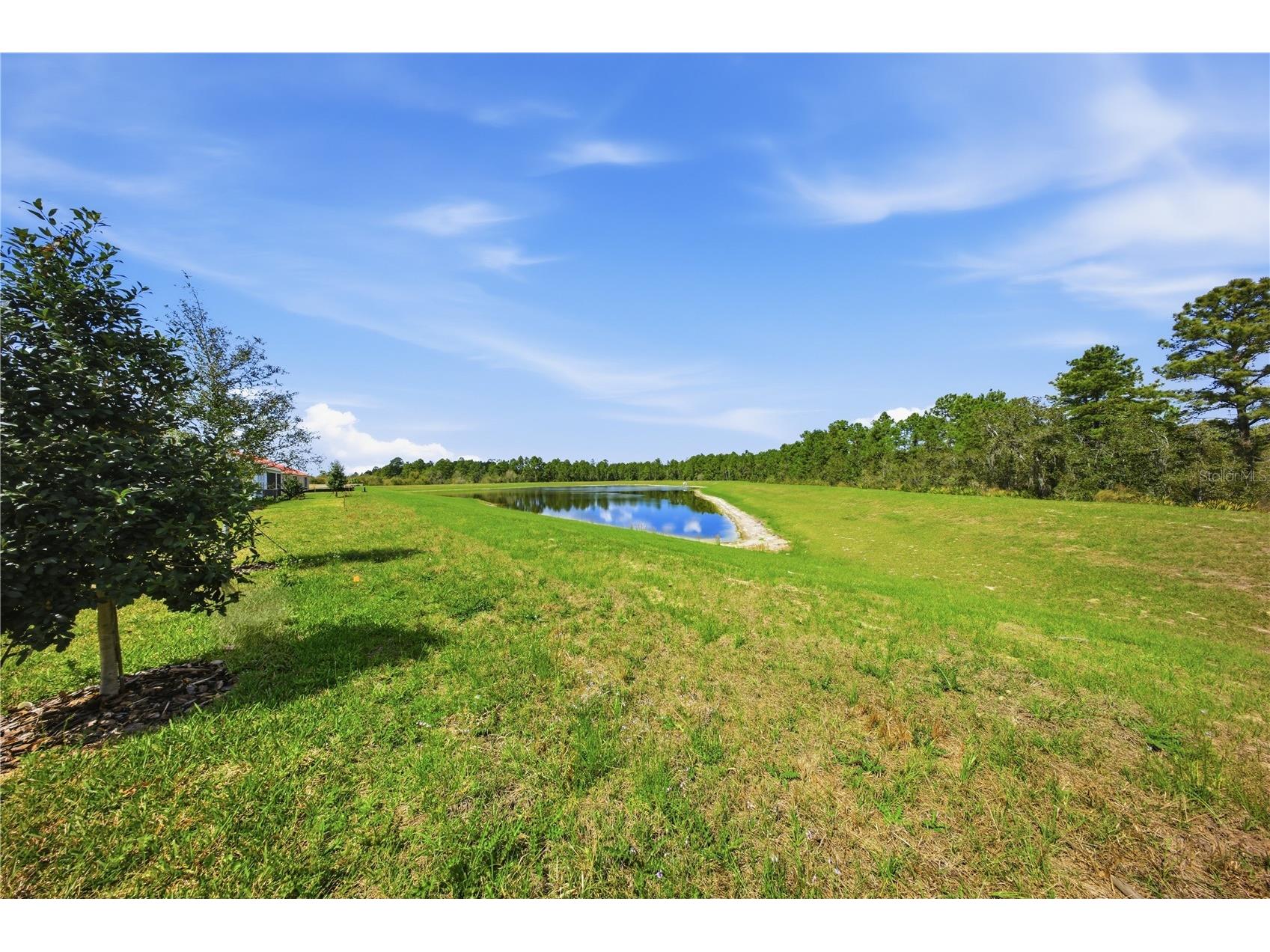 12893 Harvest Rain Avenue Winter Garden FL 34787 O6381091 image50