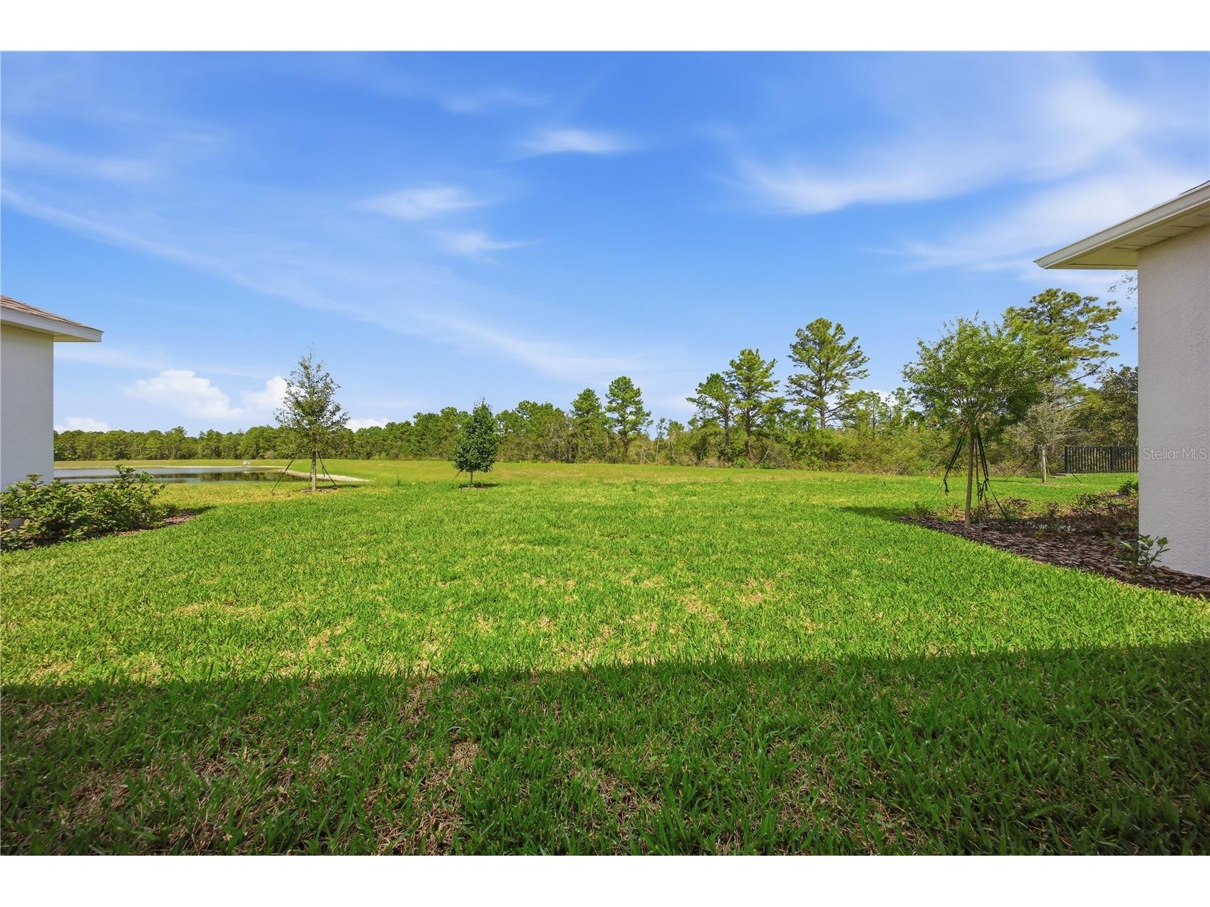 12893 Harvest Rain Avenue Winter Garden FL 34787 O6381091 image51