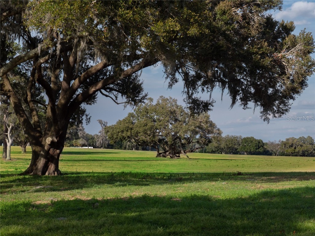 12894 NW Gainesville Road Reddick FL 32686 OM696751 image5