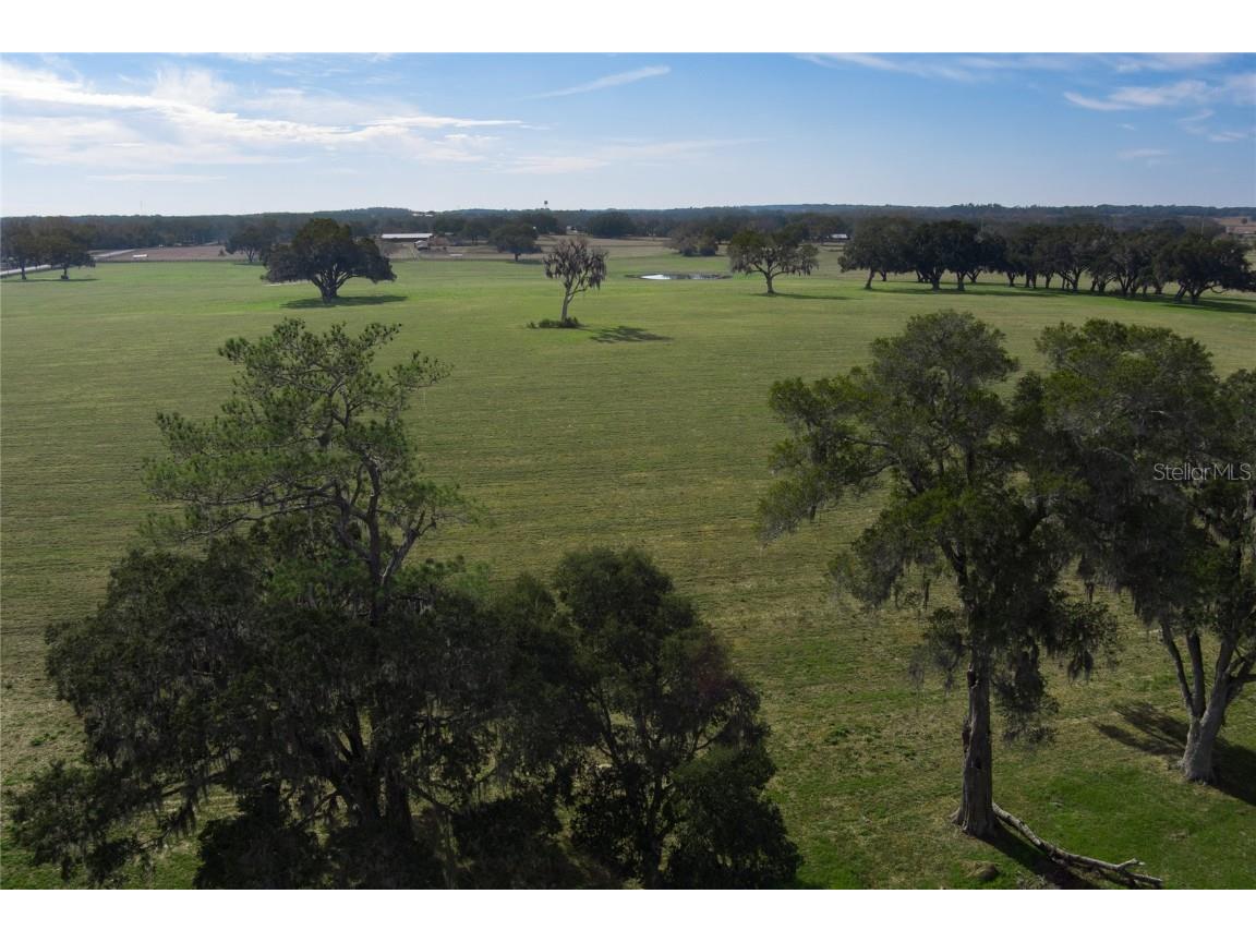 12894 NW Gainesville Road Reddick FL 32686 OM696751 image8