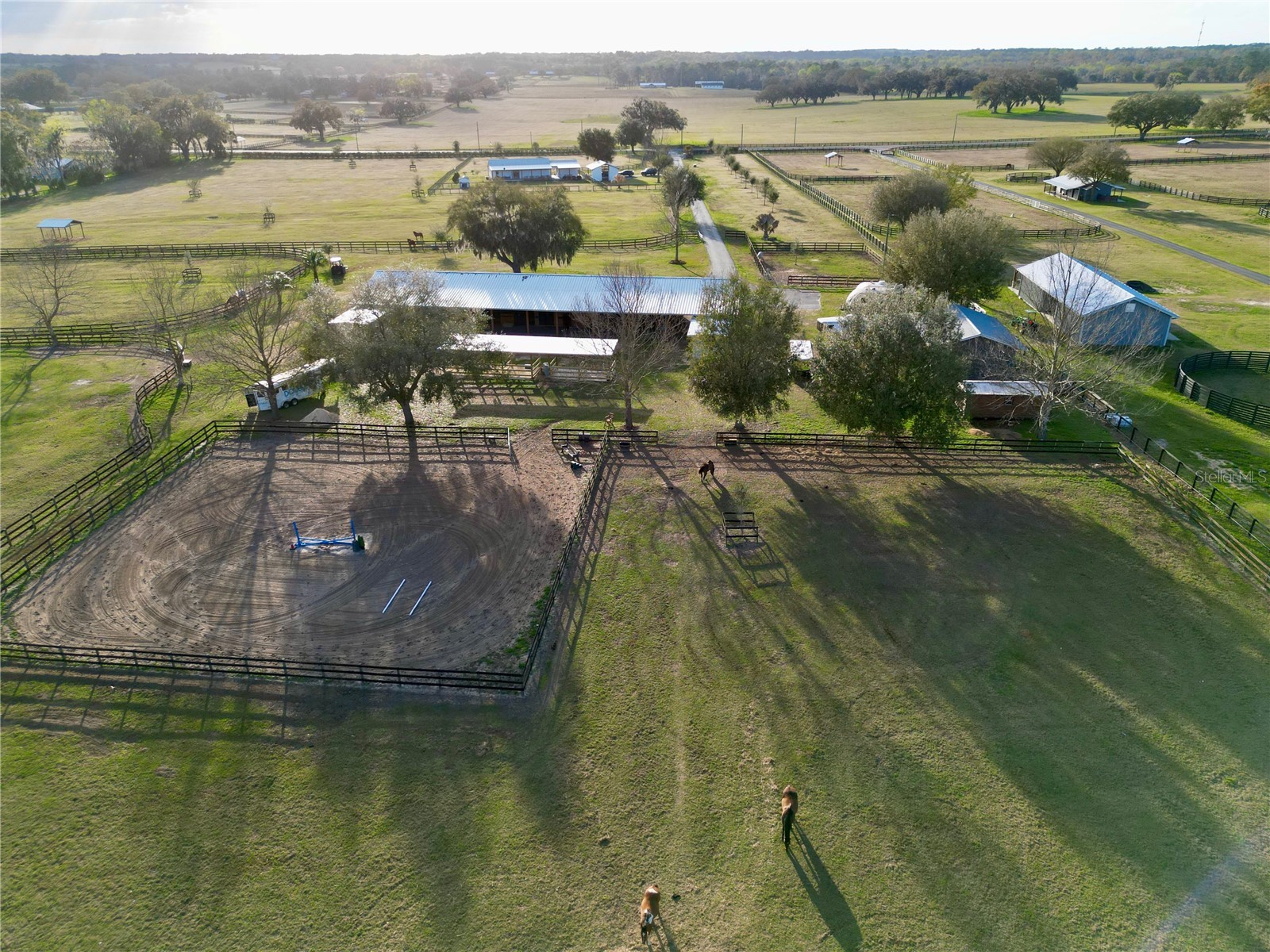 12895 NW Gainesville Road Reddick FL 32686 OM720345 image39