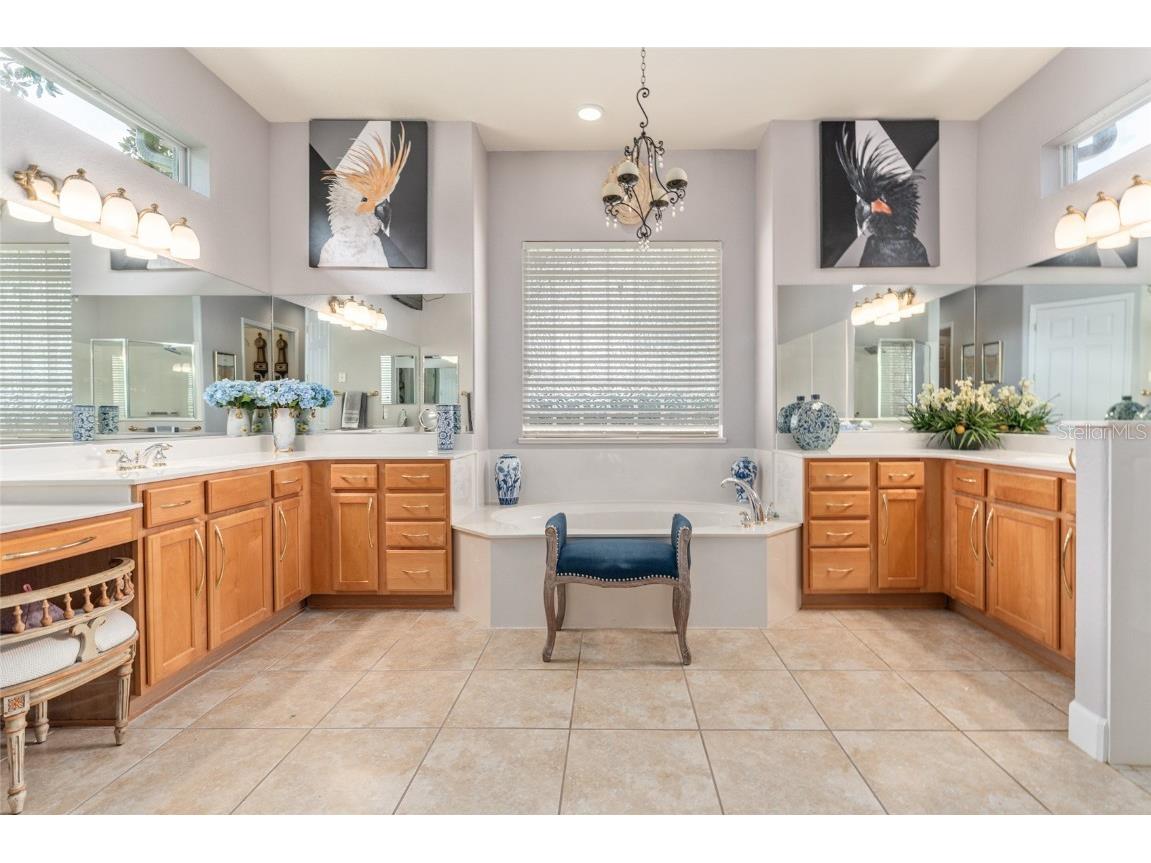 12895 SE 91st Terrace Road Summerfield FL 34491 OM707404 image41