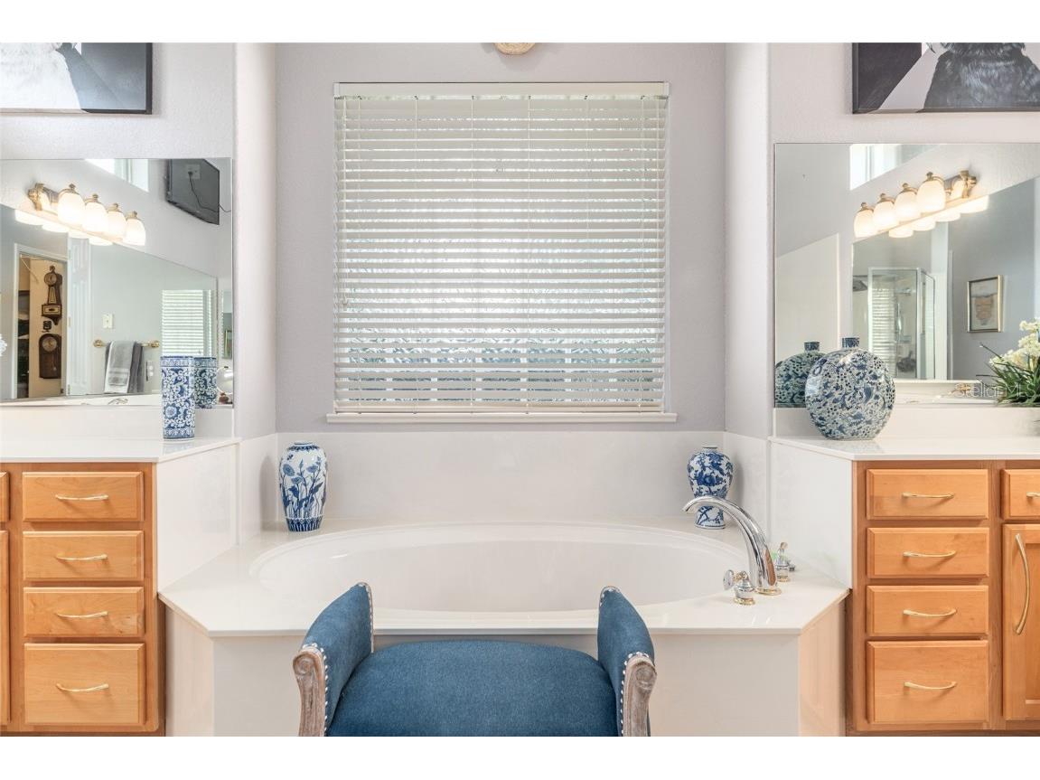 12895 SE 91st Terrace Road Summerfield FL 34491 OM707404 image42