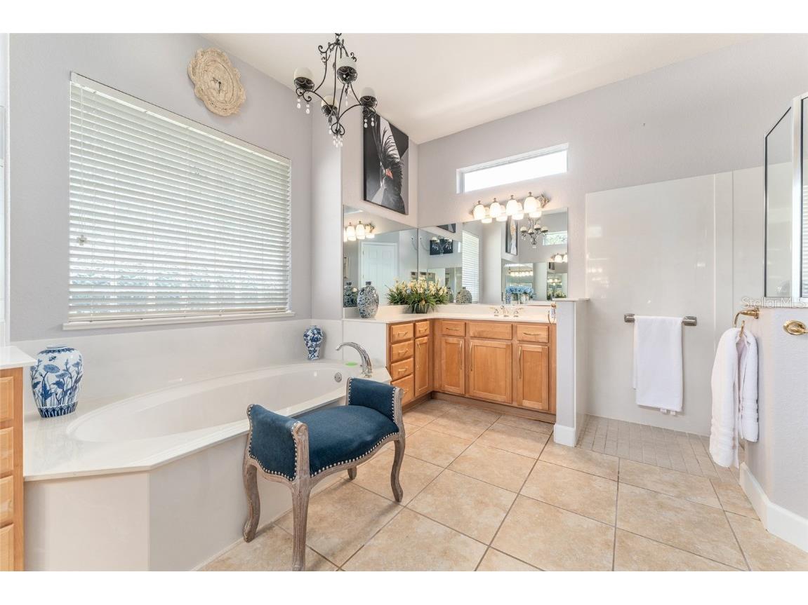 12895 SE 91st Terrace Road Summerfield FL 34491 OM707404 image43