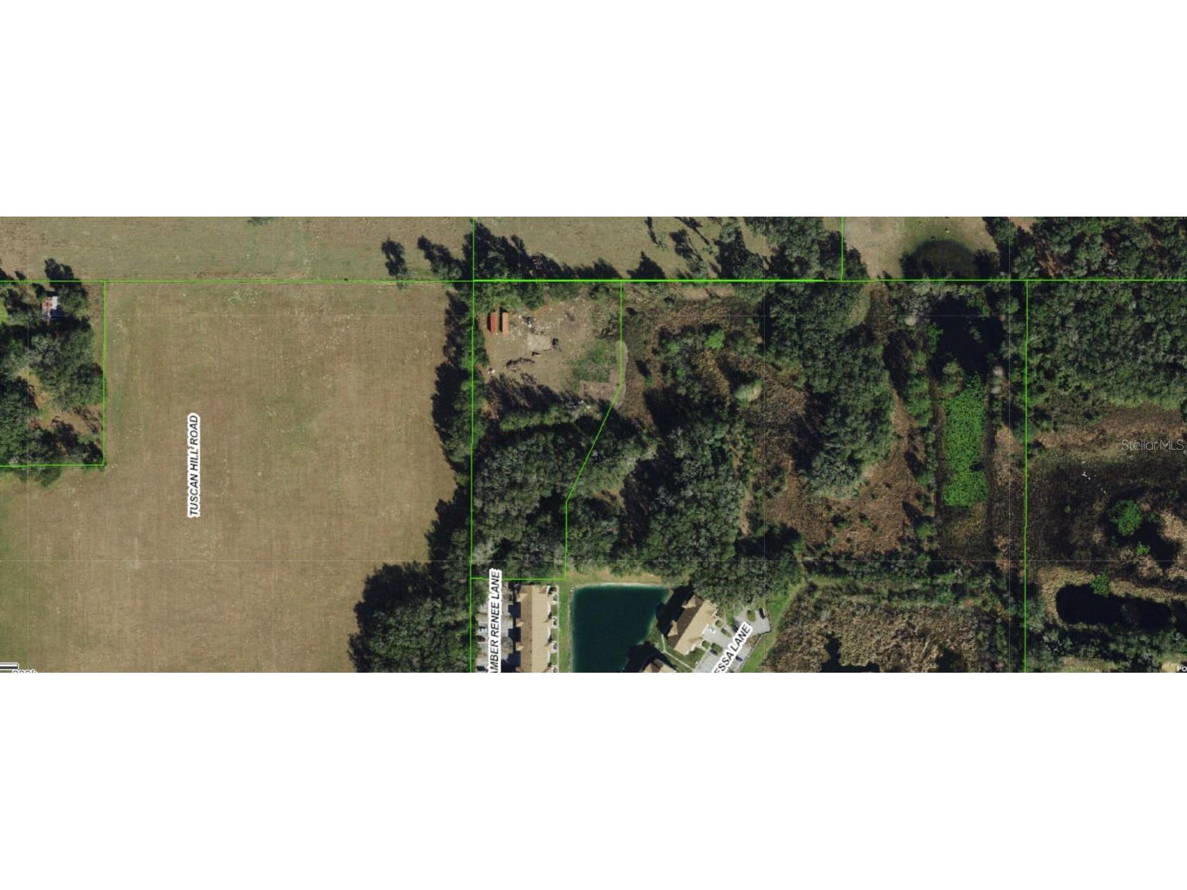 12896 Amber Renee Lane Dade City FL 33525 TB8404721 image2