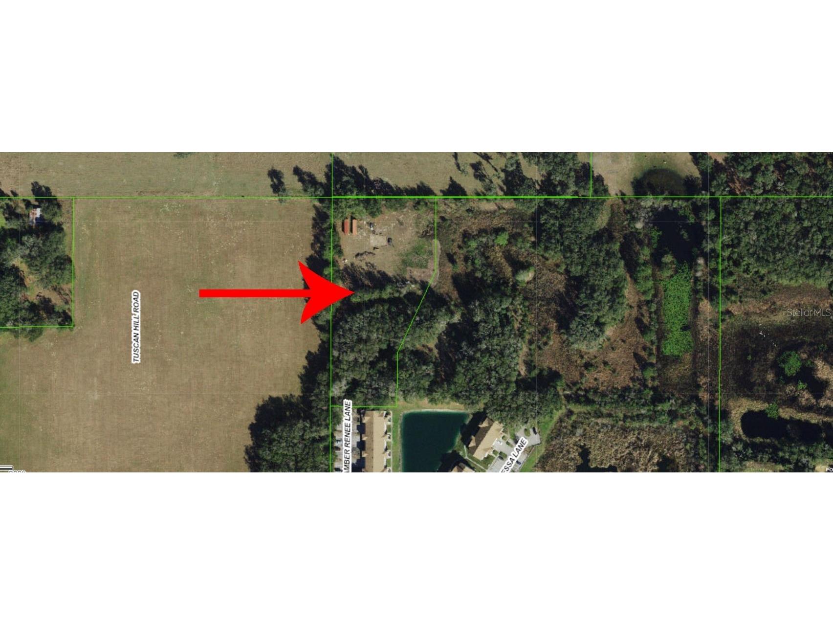 12896 Amber Renee Lane Dade City FL 33525 TB8404721 image3