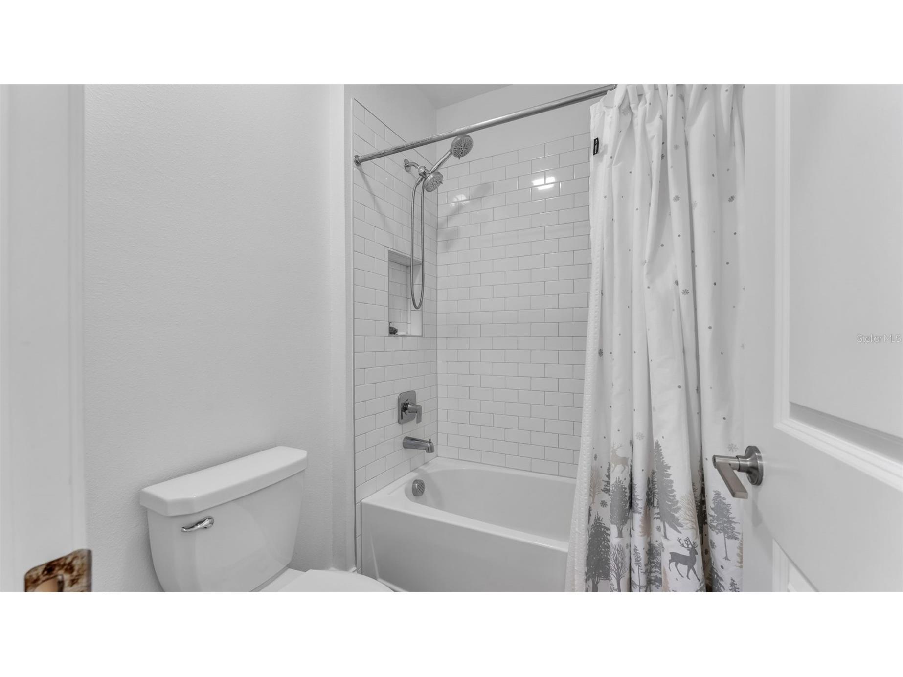 12897 Bergstrom Bay Drive Riverview FL 33579 L4958661 image63