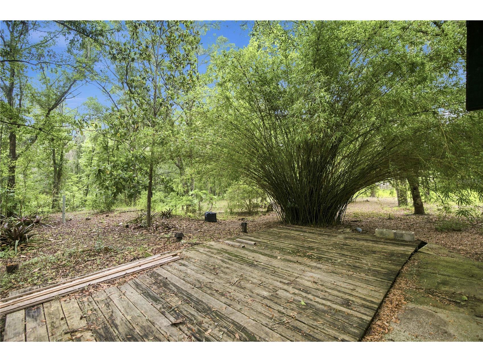 12897 NW Highway 225 Reddick FL 32686 OM728438 image18