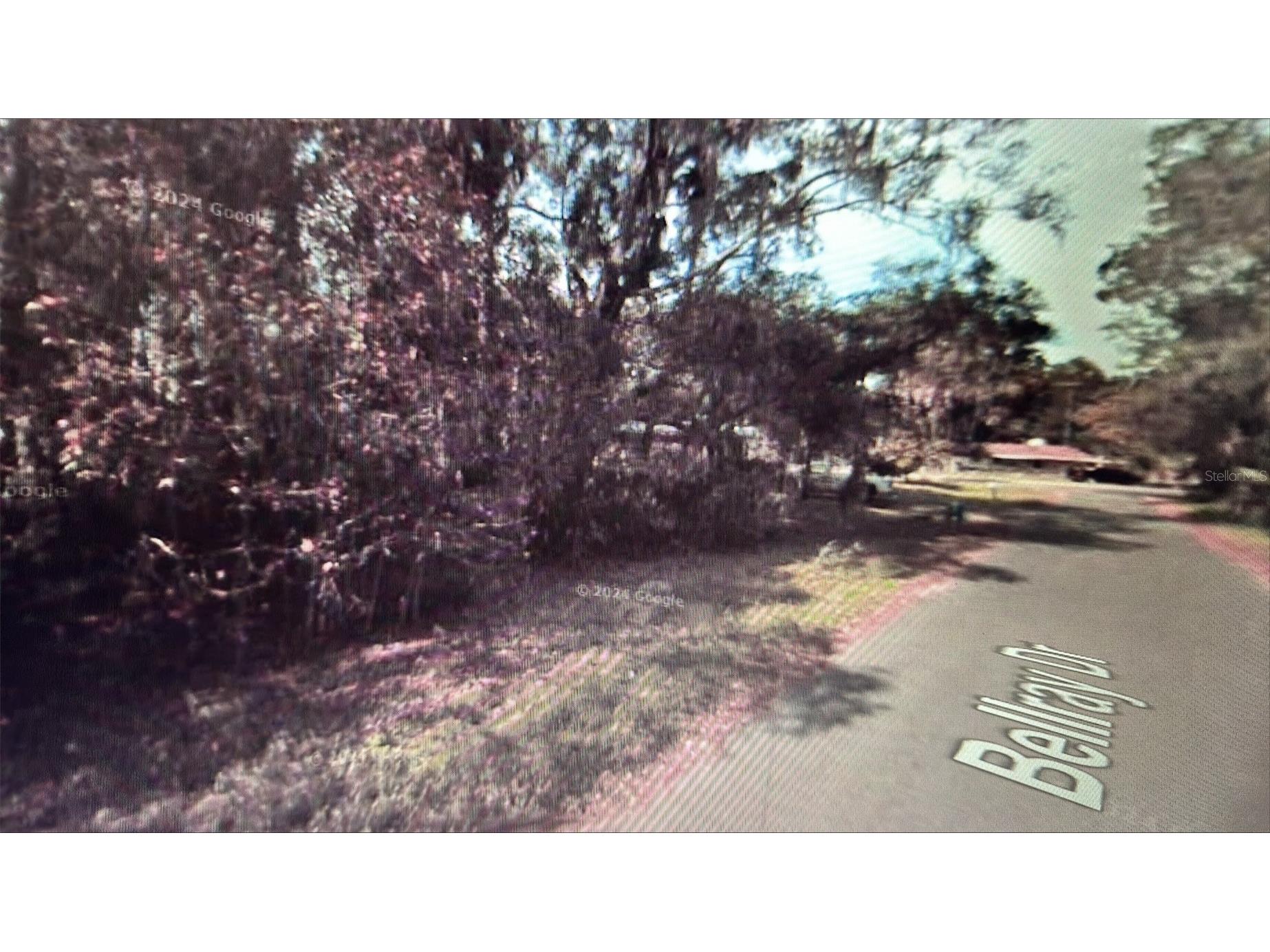 129 Bellray Drive Satsuma FL 32189 A4601211 image1