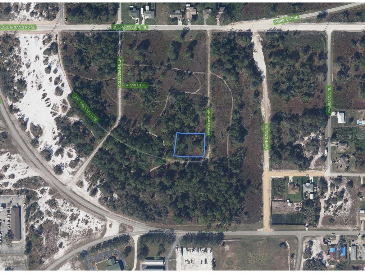 129 Bendix Avenue NE Lake Placid FL 33852 A4695056 image1