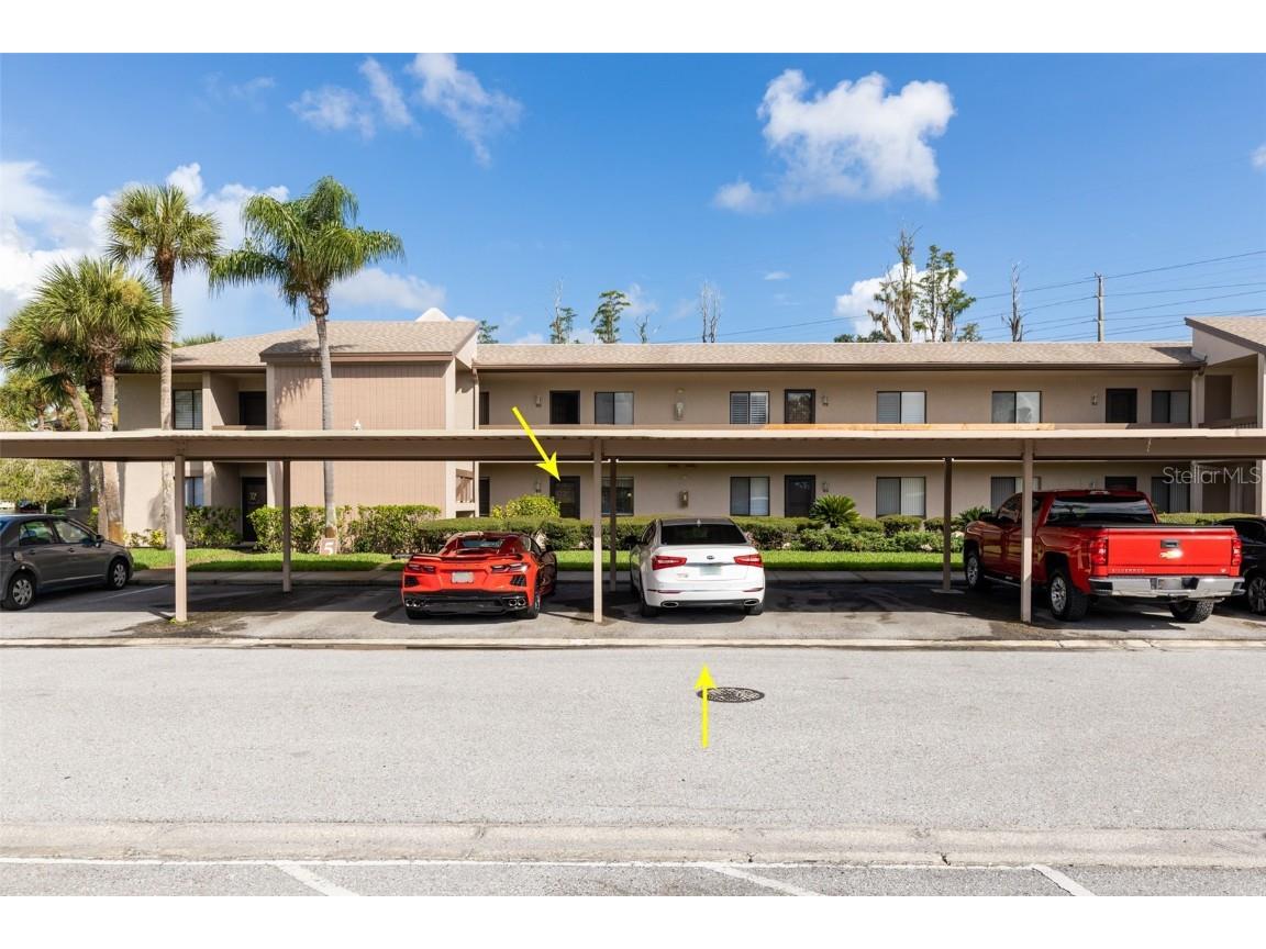 129 Camille Court #129 Oldsmar FL 34677 U8208723 image1