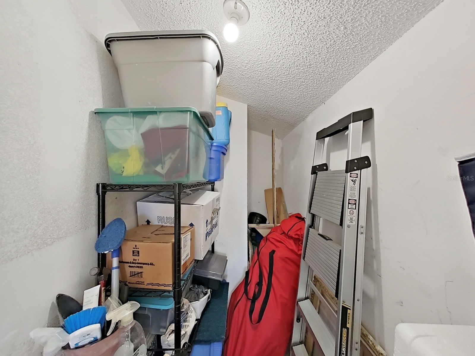 129 Camphor Circle #C Oldsmar FL 34677 TB8474438 image38