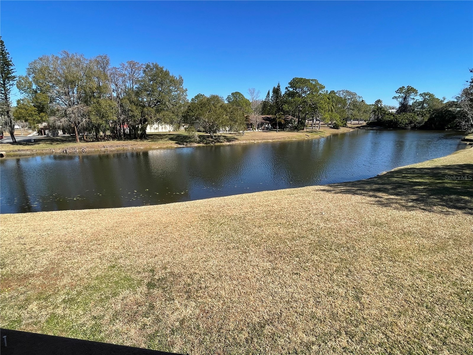 129 Camphor Circle #C Oldsmar FL 34677 TB8474438 image40