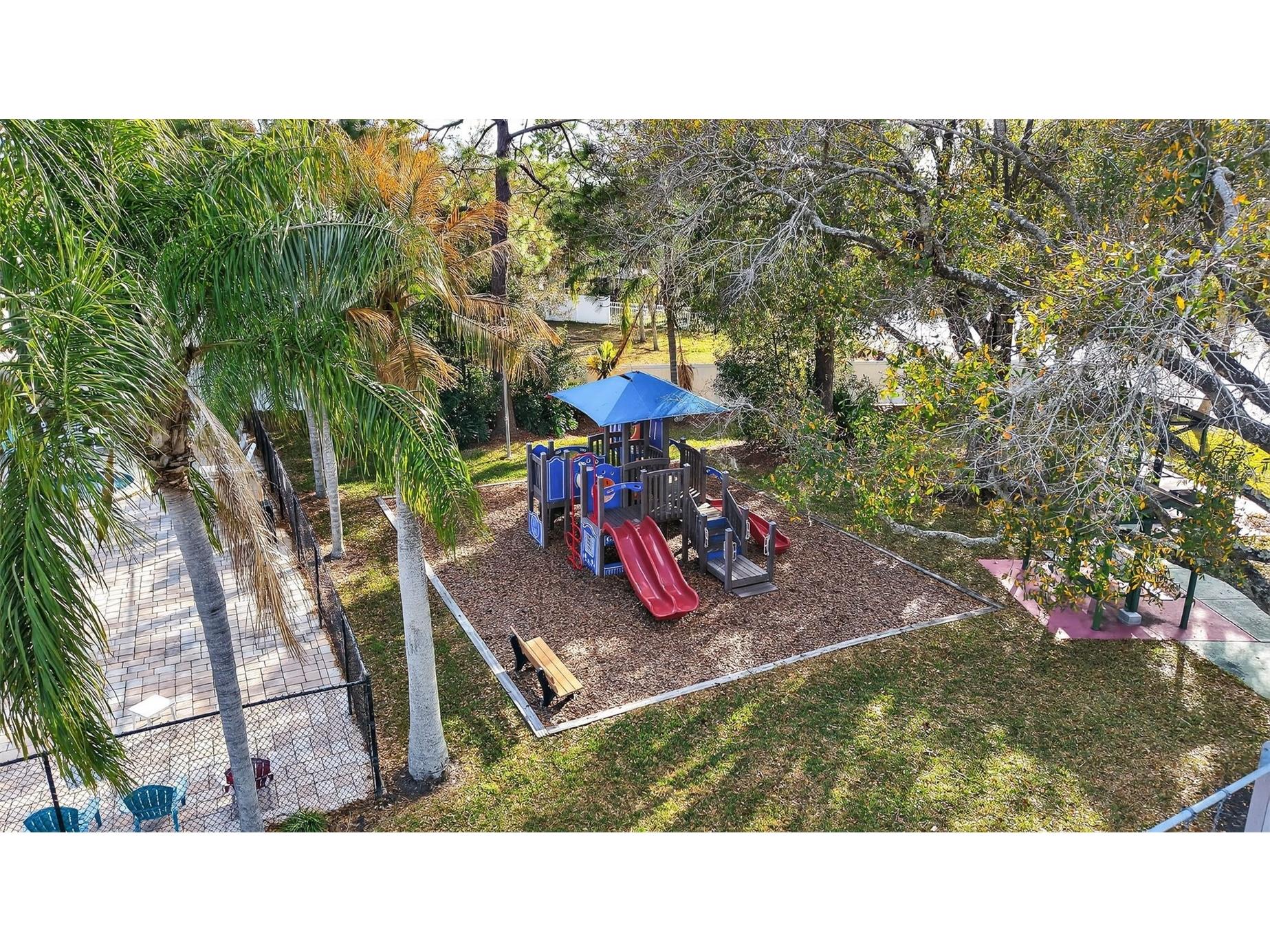 129 Camphor Circle #C Oldsmar FL 34677 TB8474438 image47