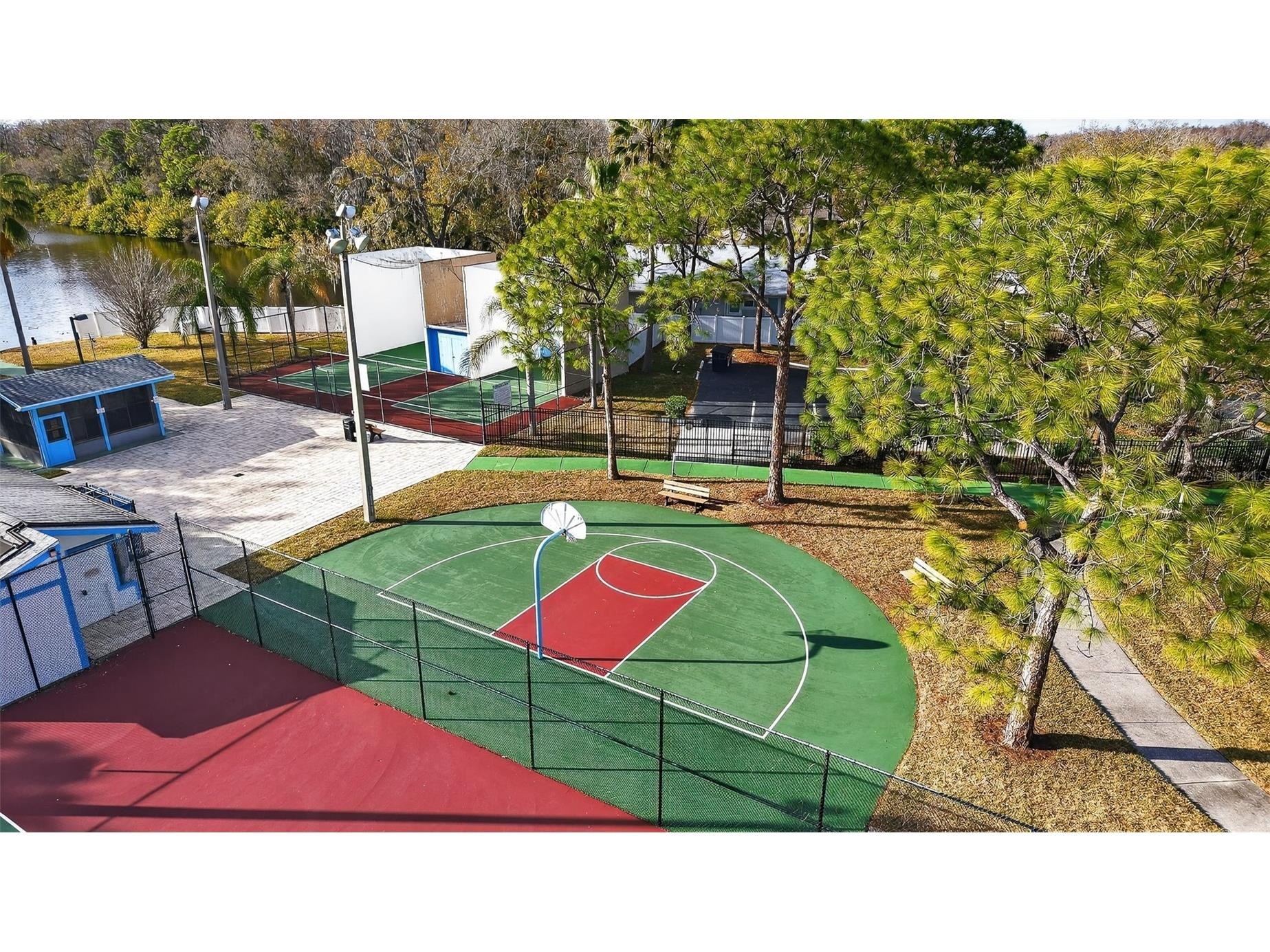 129 Camphor Circle #C Oldsmar FL 34677 TB8474438 image48