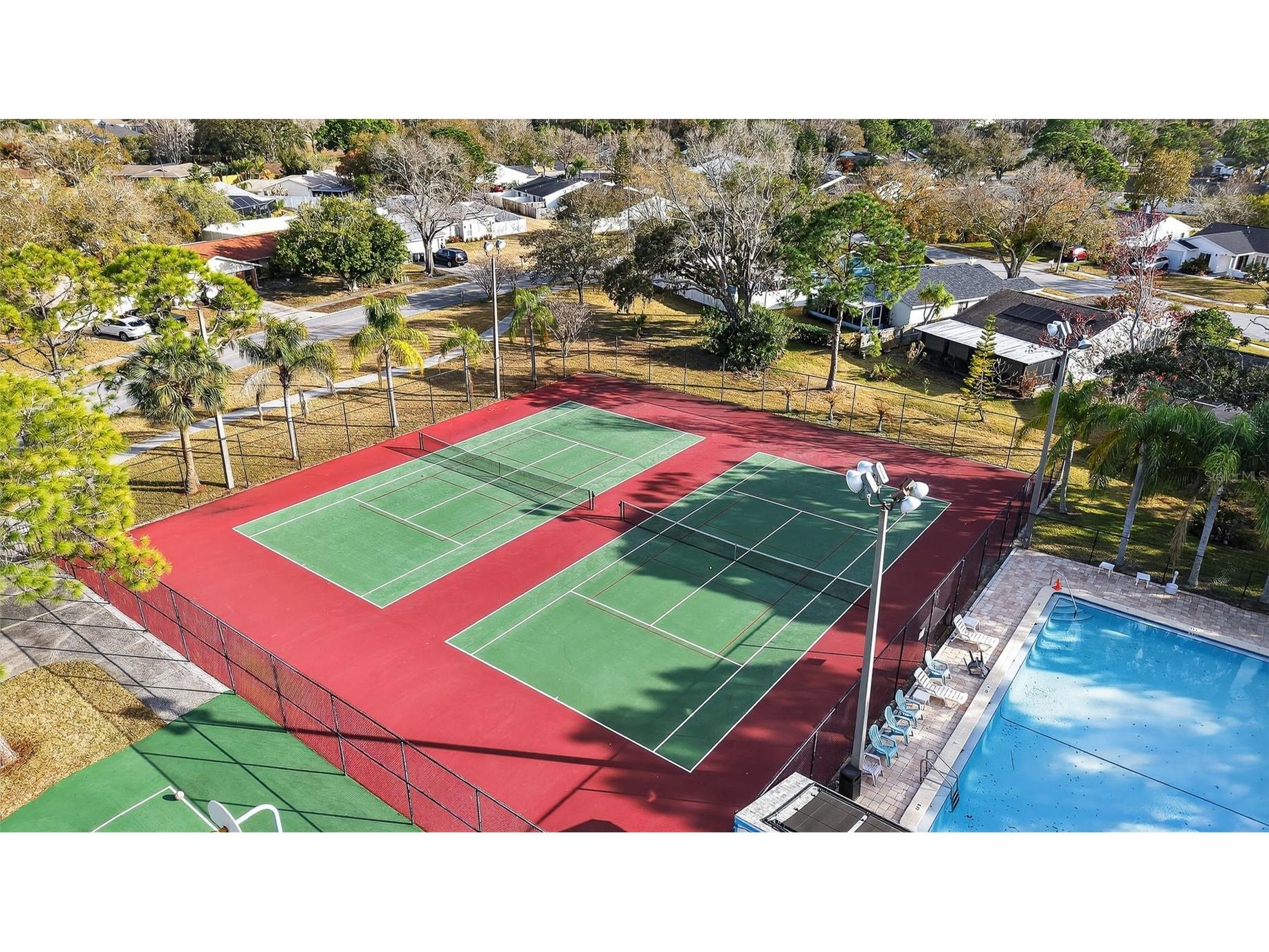 129 Camphor Circle #C Oldsmar FL 34677 TB8474438 image50