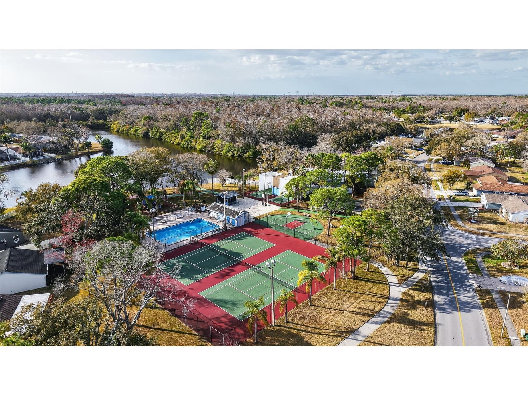 129 Camphor Circle #C Oldsmar FL 34677 TB8474438 image51