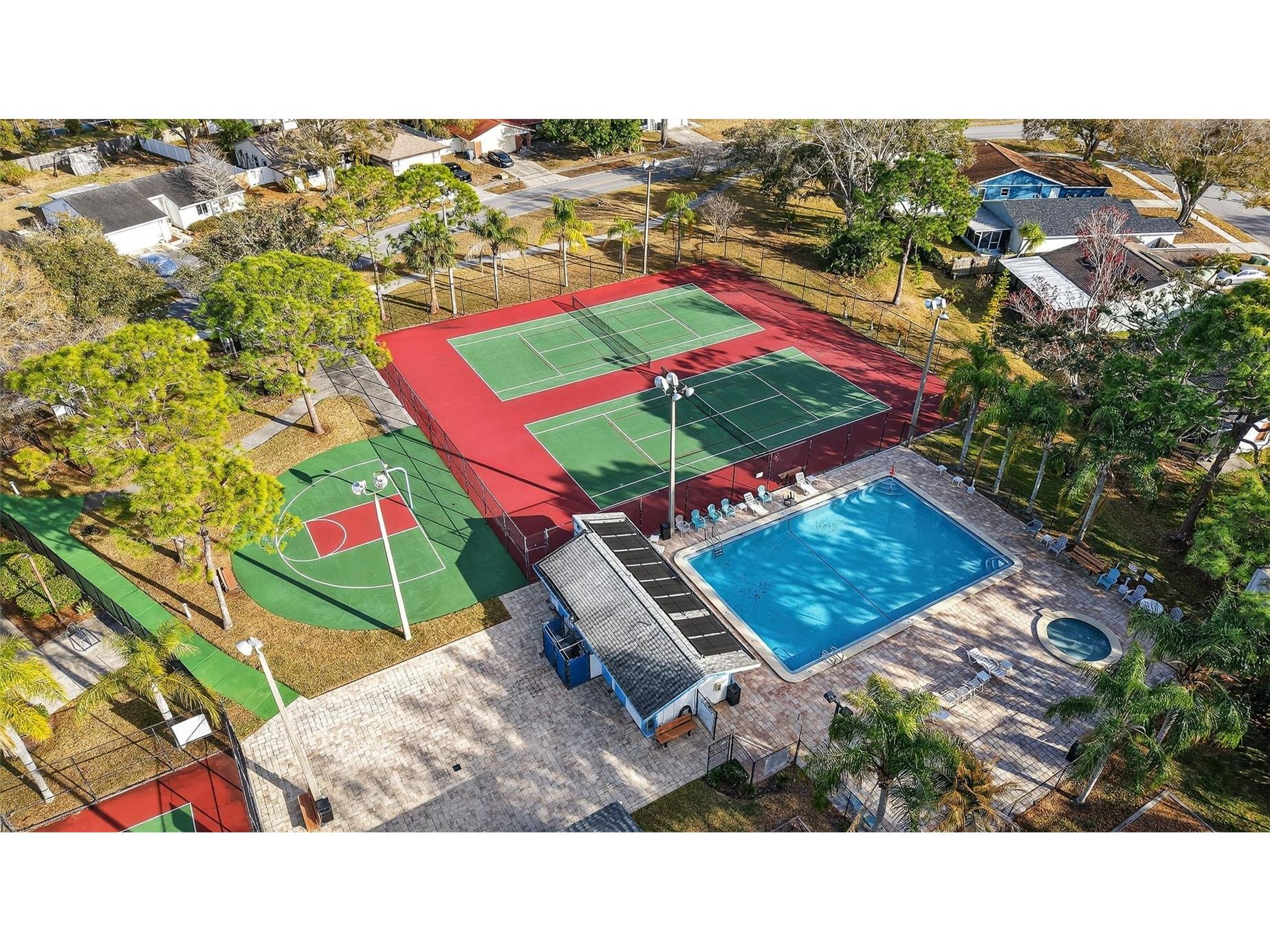 129 Camphor Circle #C Oldsmar FL 34677 TB8474438 image52