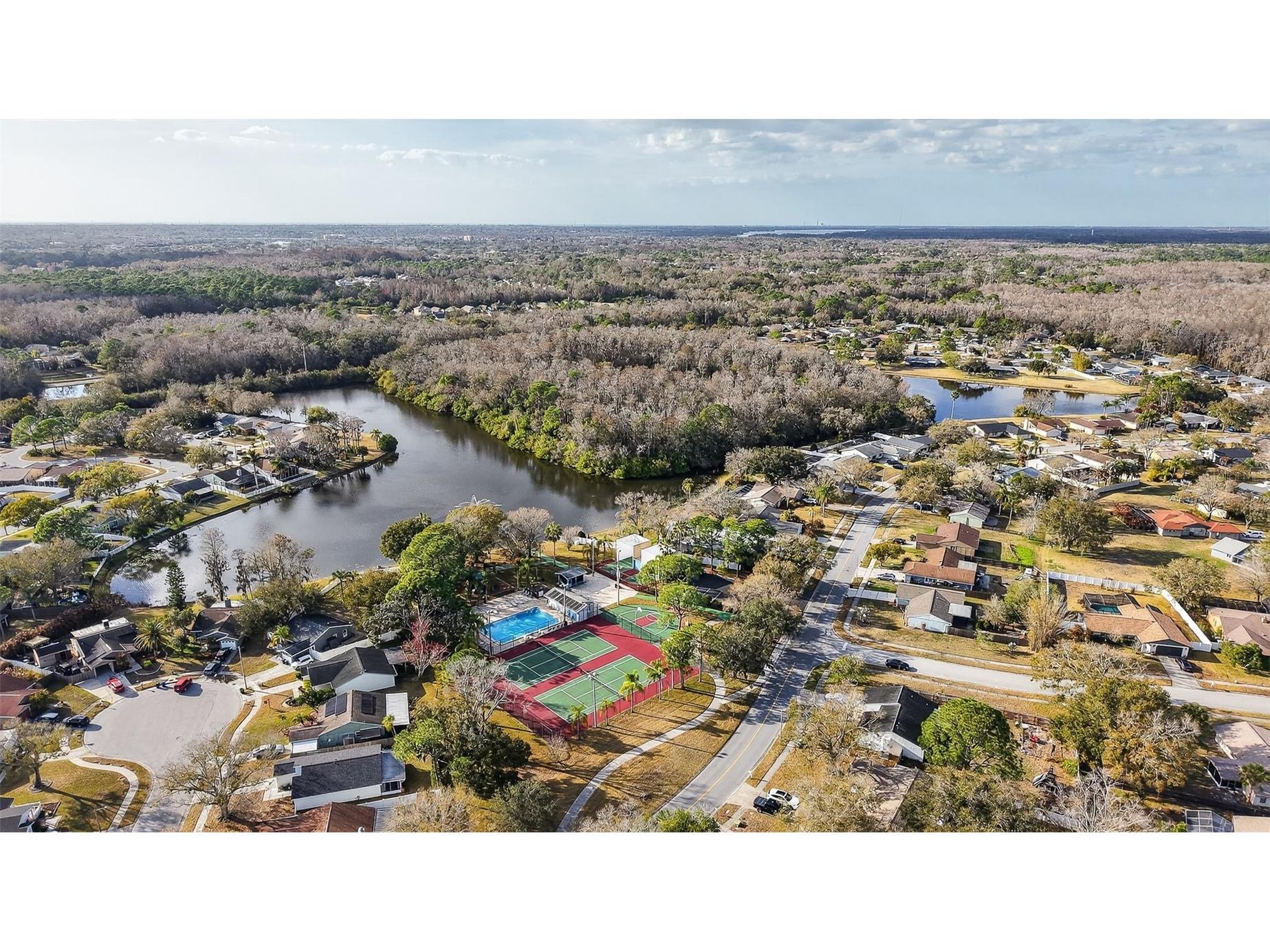 129 Camphor Circle #C Oldsmar FL 34677 TB8474438 image54