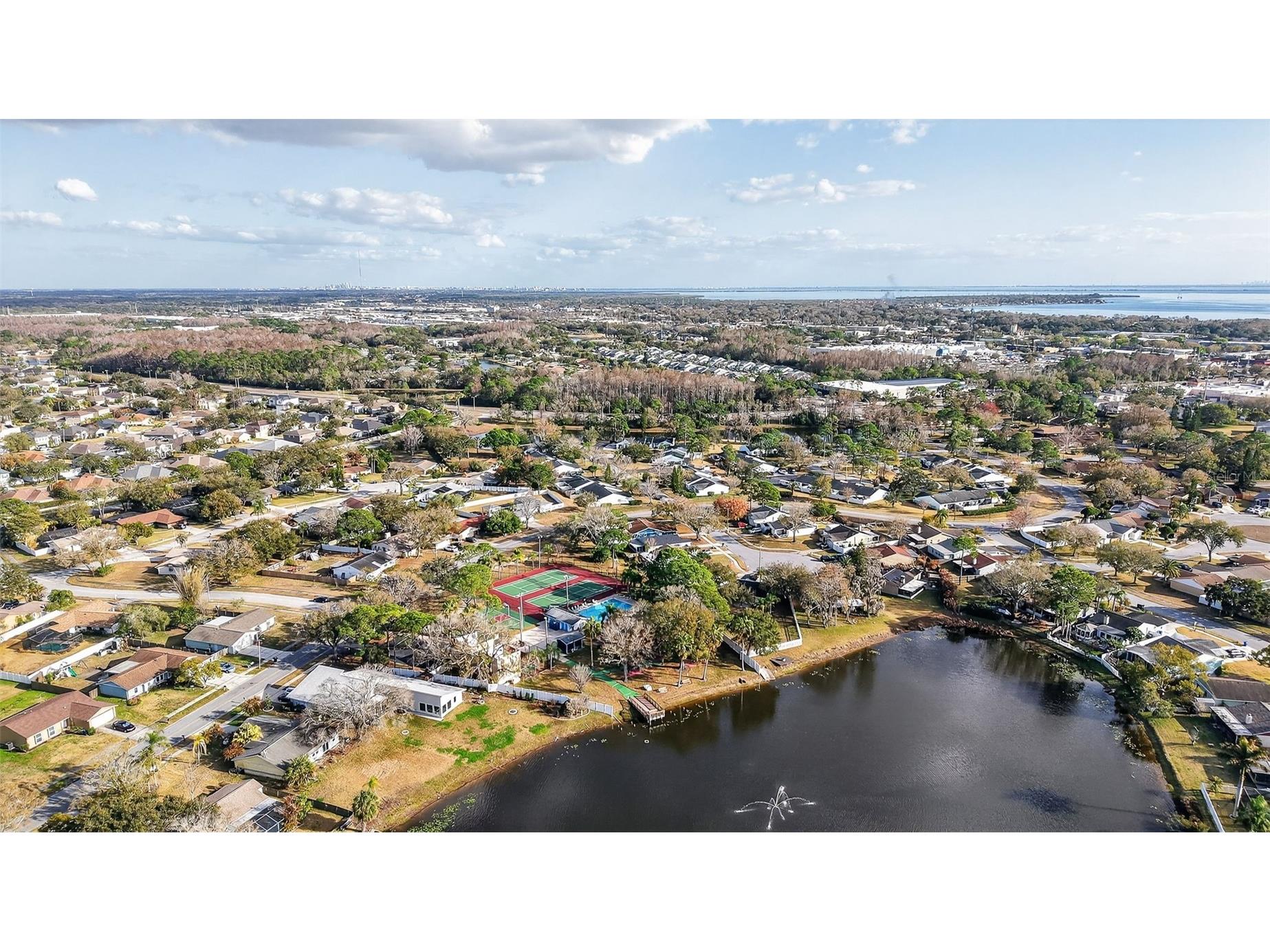 129 Camphor Circle #C Oldsmar FL 34677 TB8474438 image55