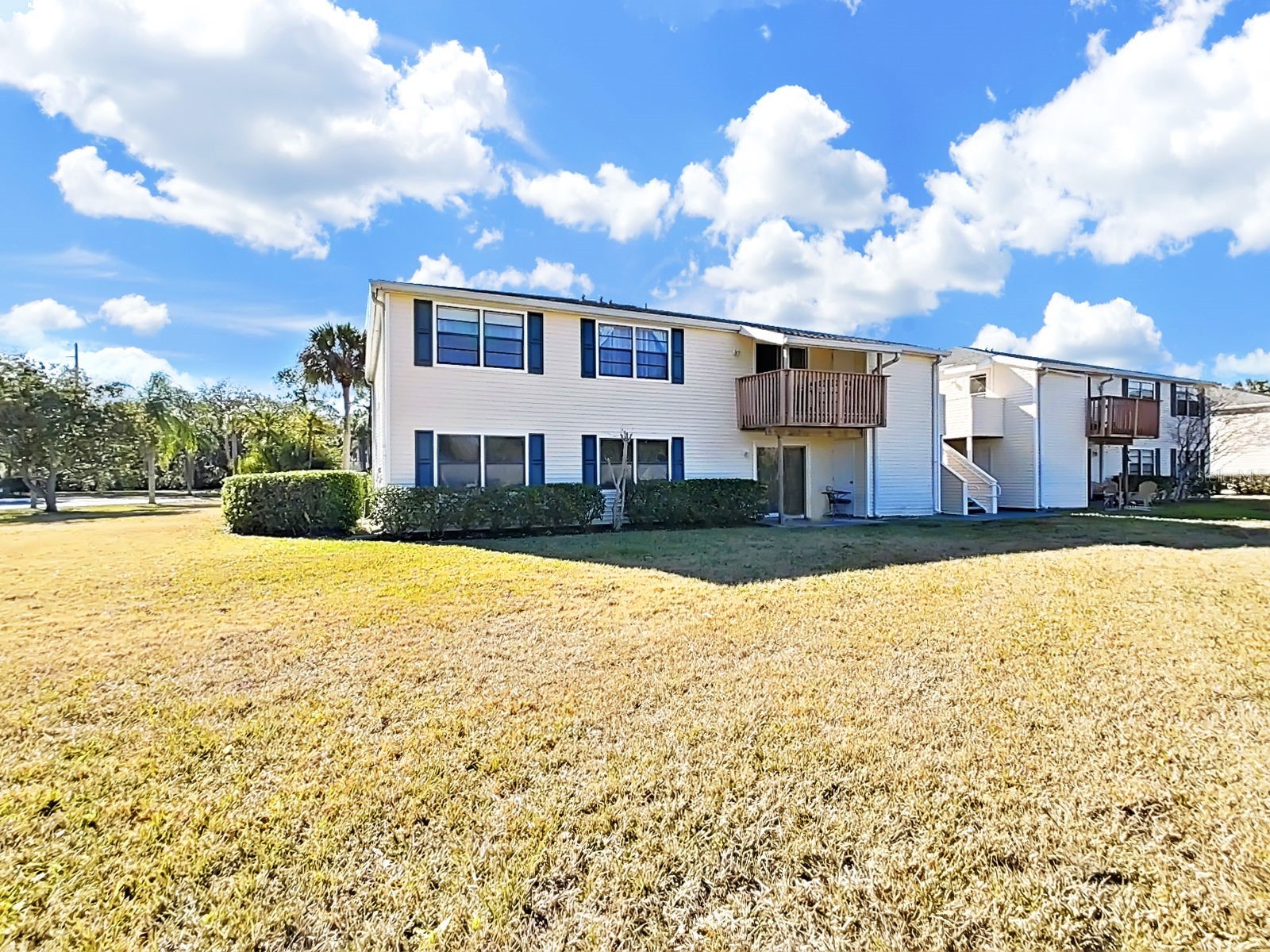 129 Camphor Circle #C Oldsmar FL 34677 TB8474438 image6