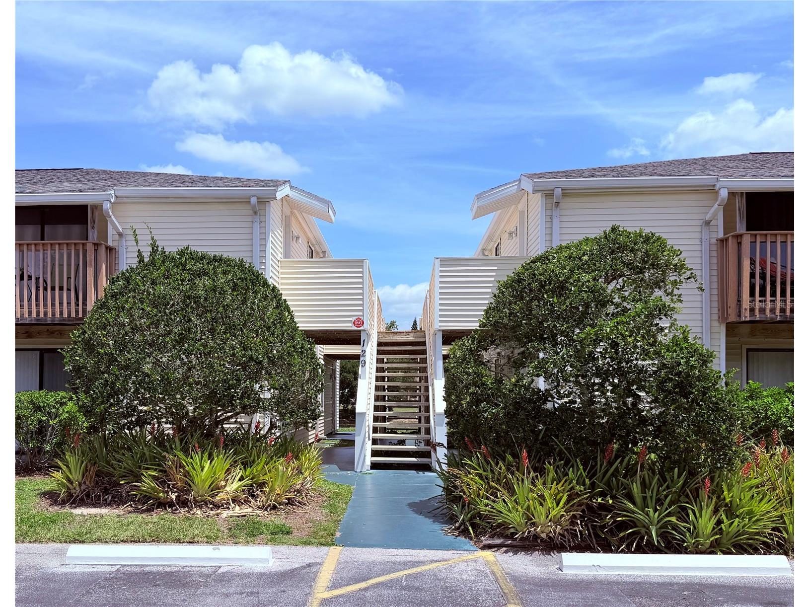 129 Camphor Circle #F Oldsmar FL 34677 TB8500263 image1