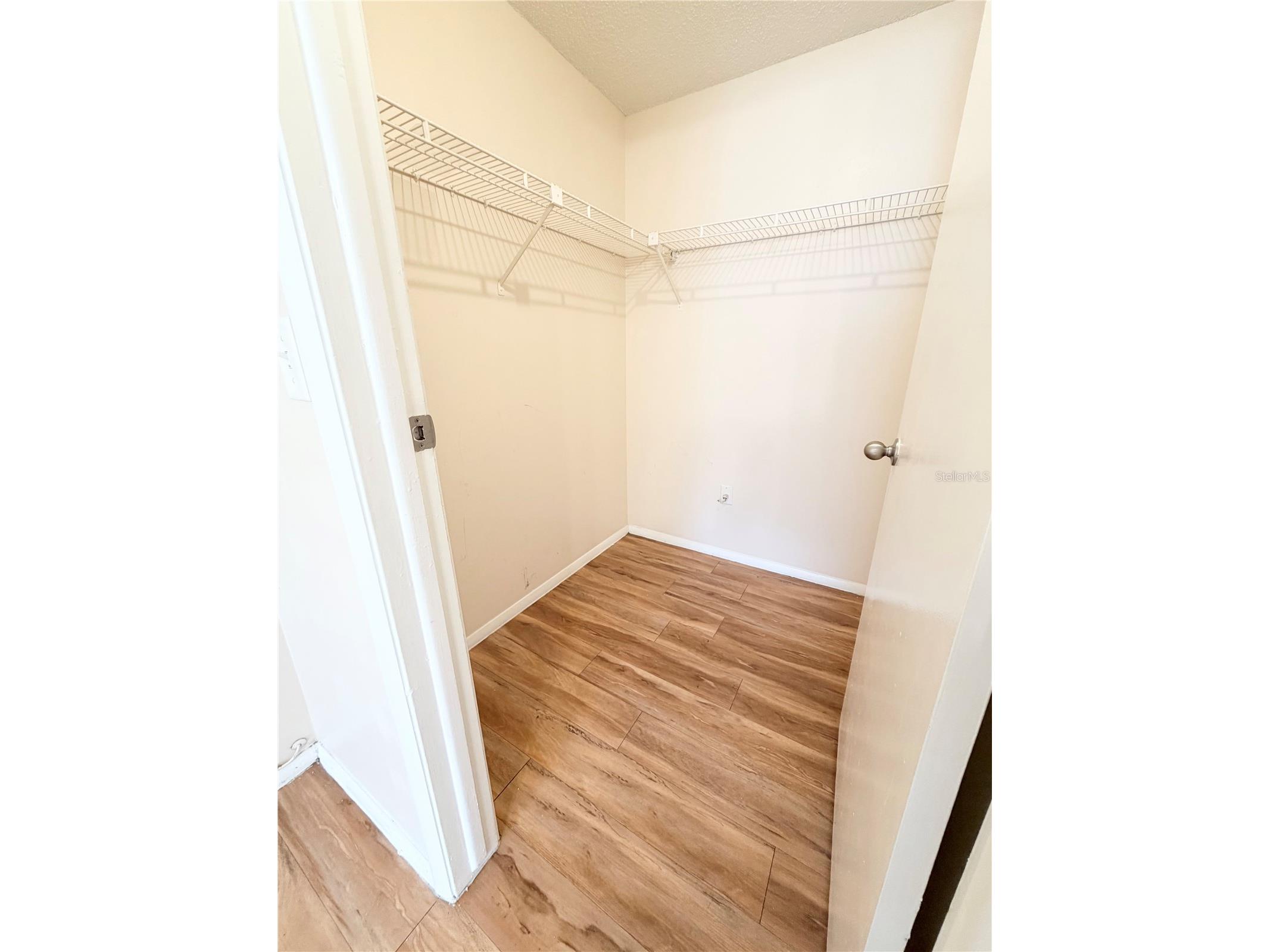 129 Camphor Circle #F Oldsmar FL 34677 TB8500263 image11