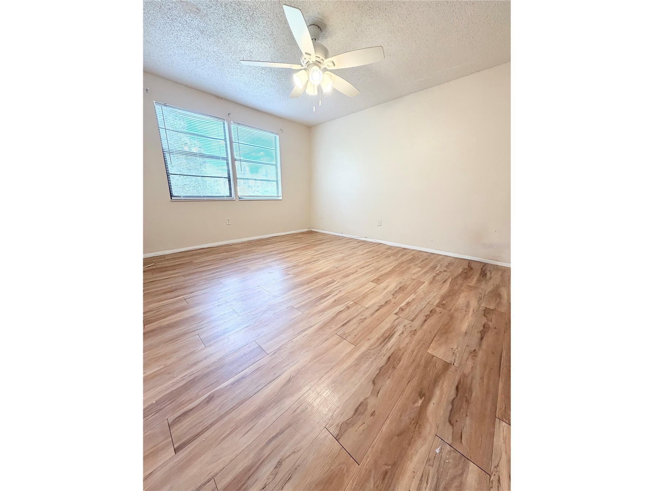 129 Camphor Circle #F Oldsmar FL 34677 TB8500263 image19