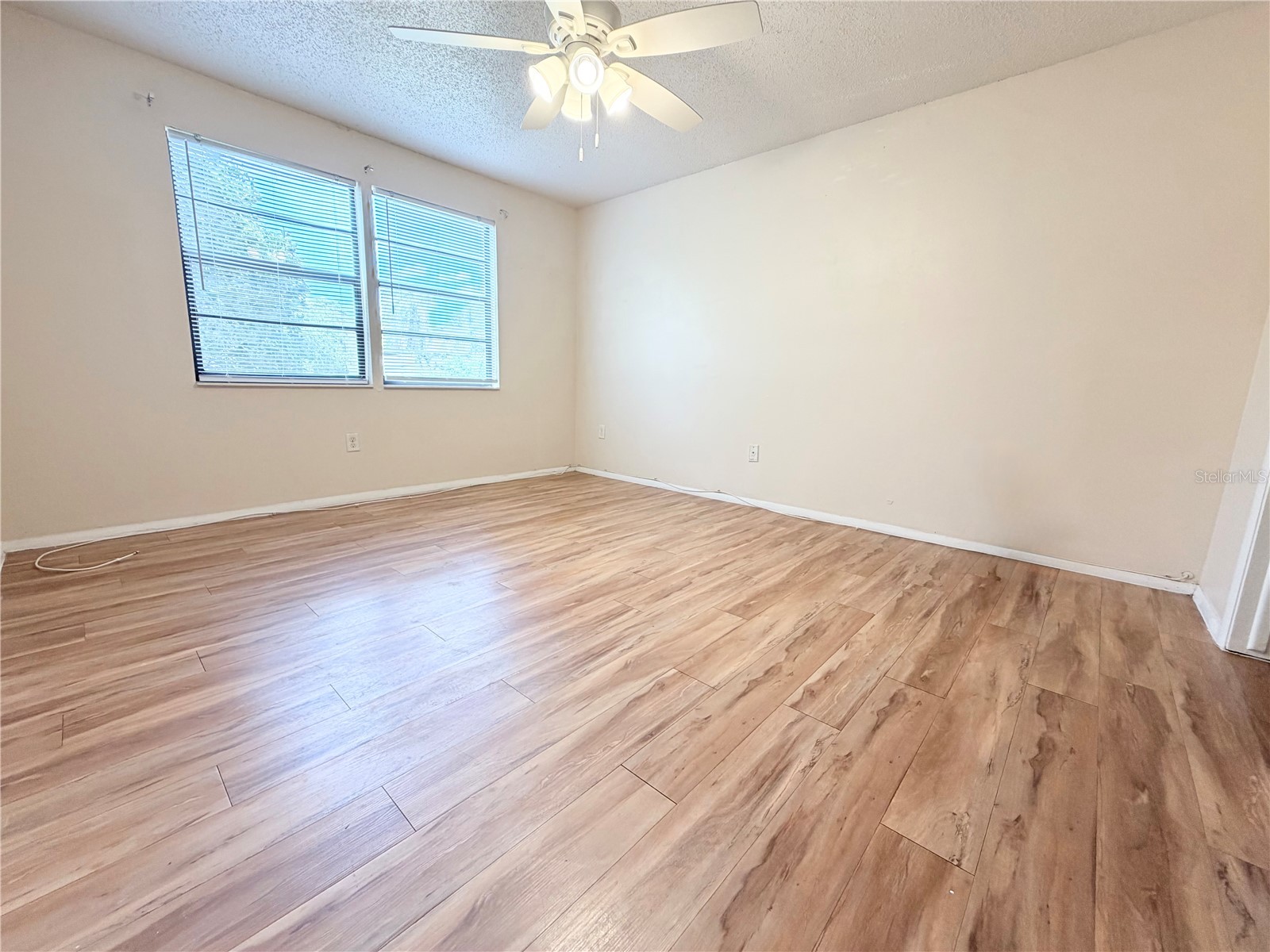129 Camphor Circle #F Oldsmar FL 34677 TB8500263 image20