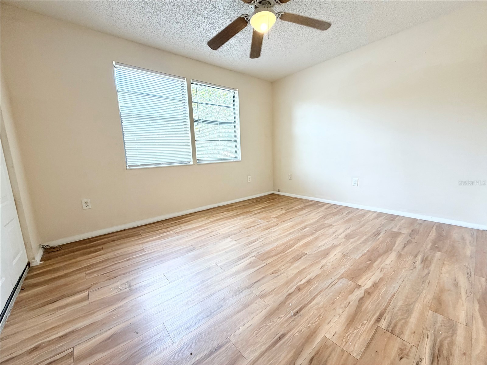 129 Camphor Circle #F Oldsmar FL 34677 TB8500263 image21