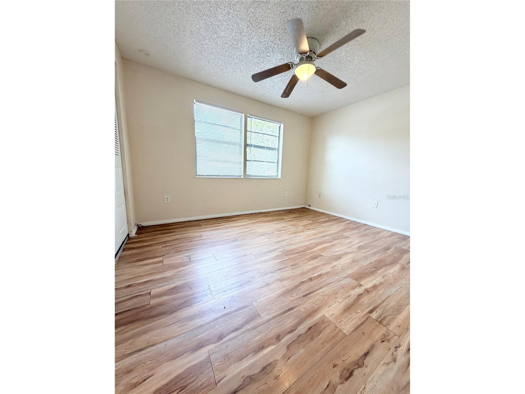 129 Camphor Circle #F Oldsmar FL 34677 TB8500263 image22