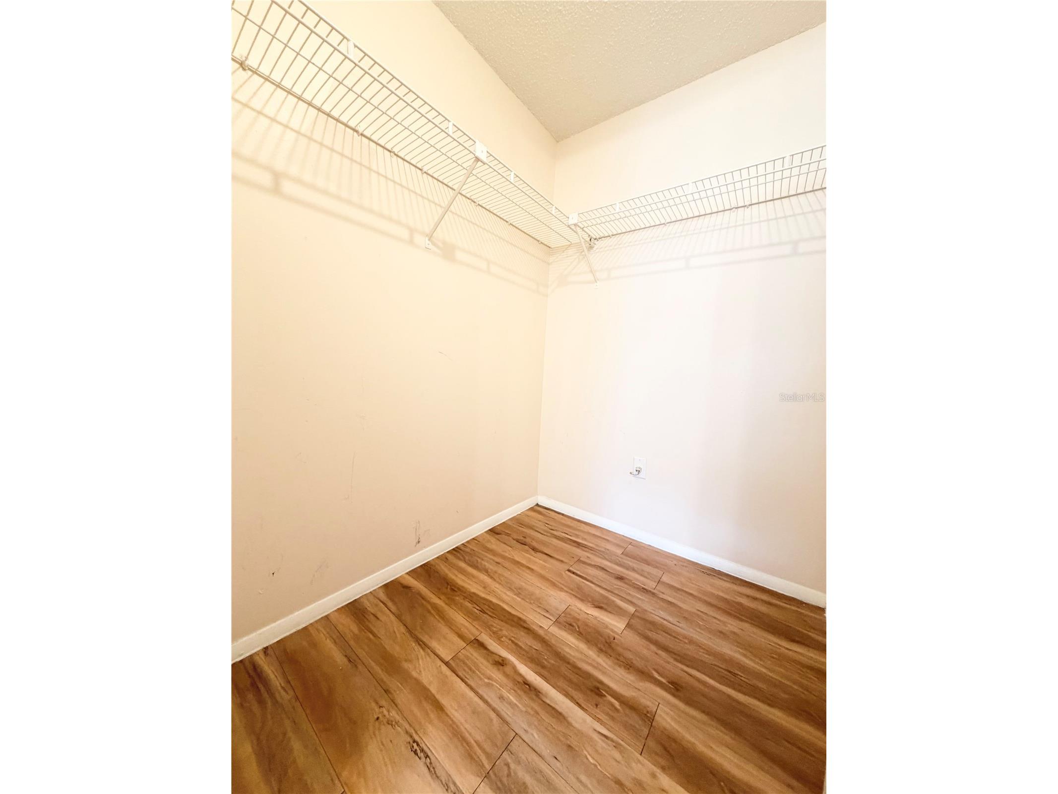 129 Camphor Circle #F Oldsmar FL 34677 TB8500263 image23