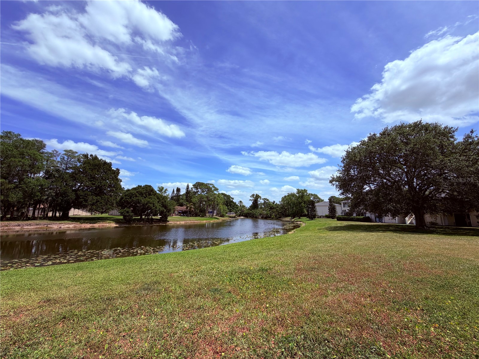 129 Camphor Circle #F Oldsmar FL 34677 TB8500263 image28