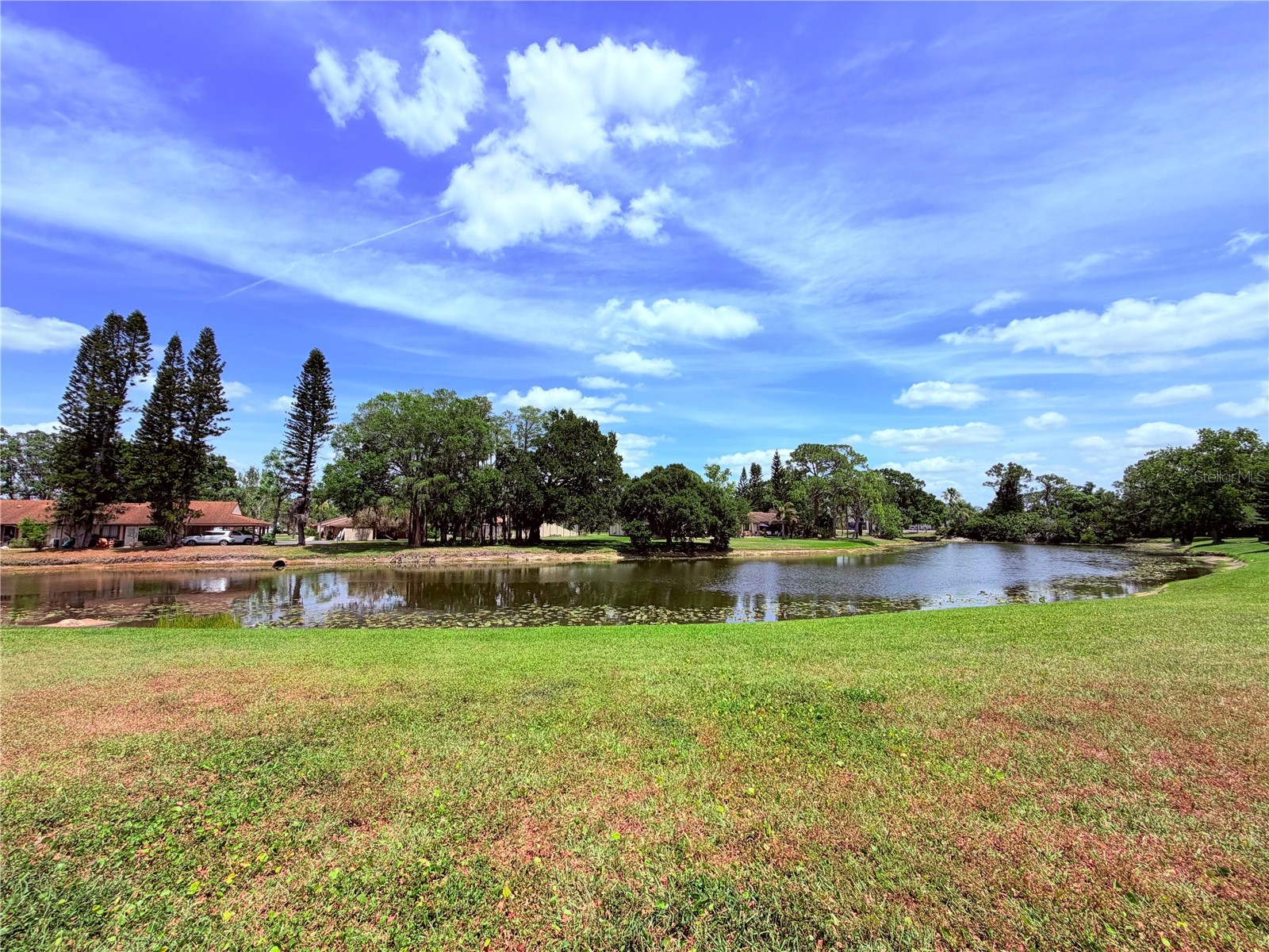 129 Camphor Circle #F Oldsmar FL 34677 TB8500263 image29