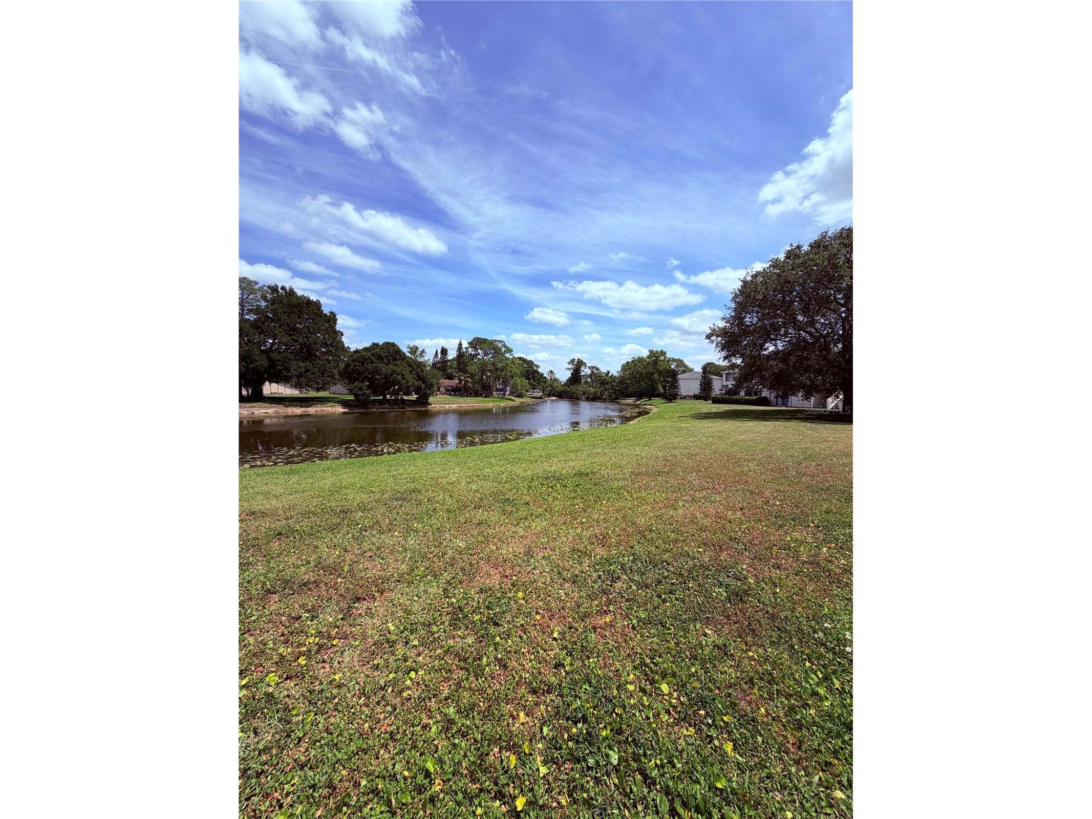 129 Camphor Circle #F Oldsmar FL 34677 TB8500263 image30