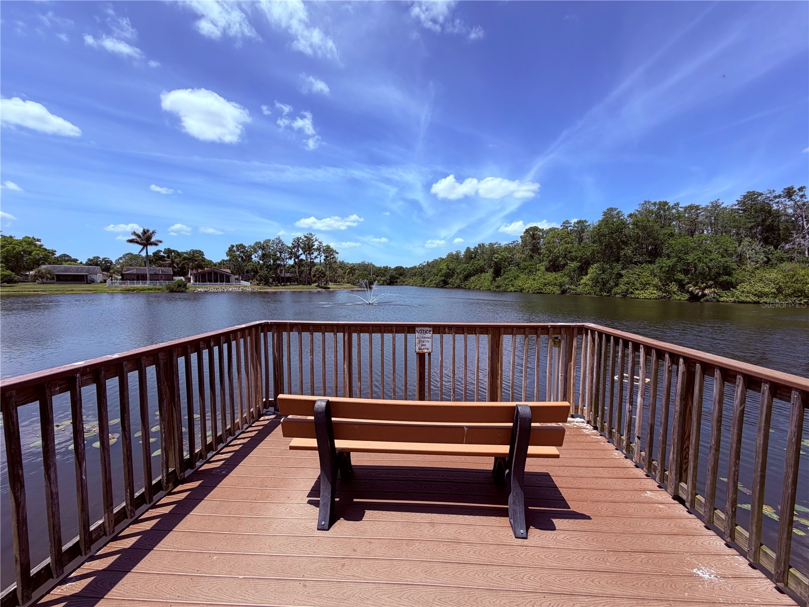 129 Camphor Circle #F Oldsmar FL 34677 TB8500263 image34