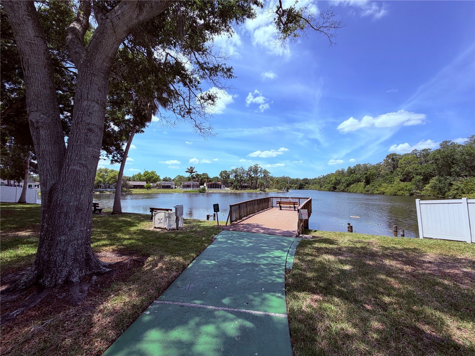 129 Camphor Circle #F Oldsmar FL 34677 TB8500263 image35