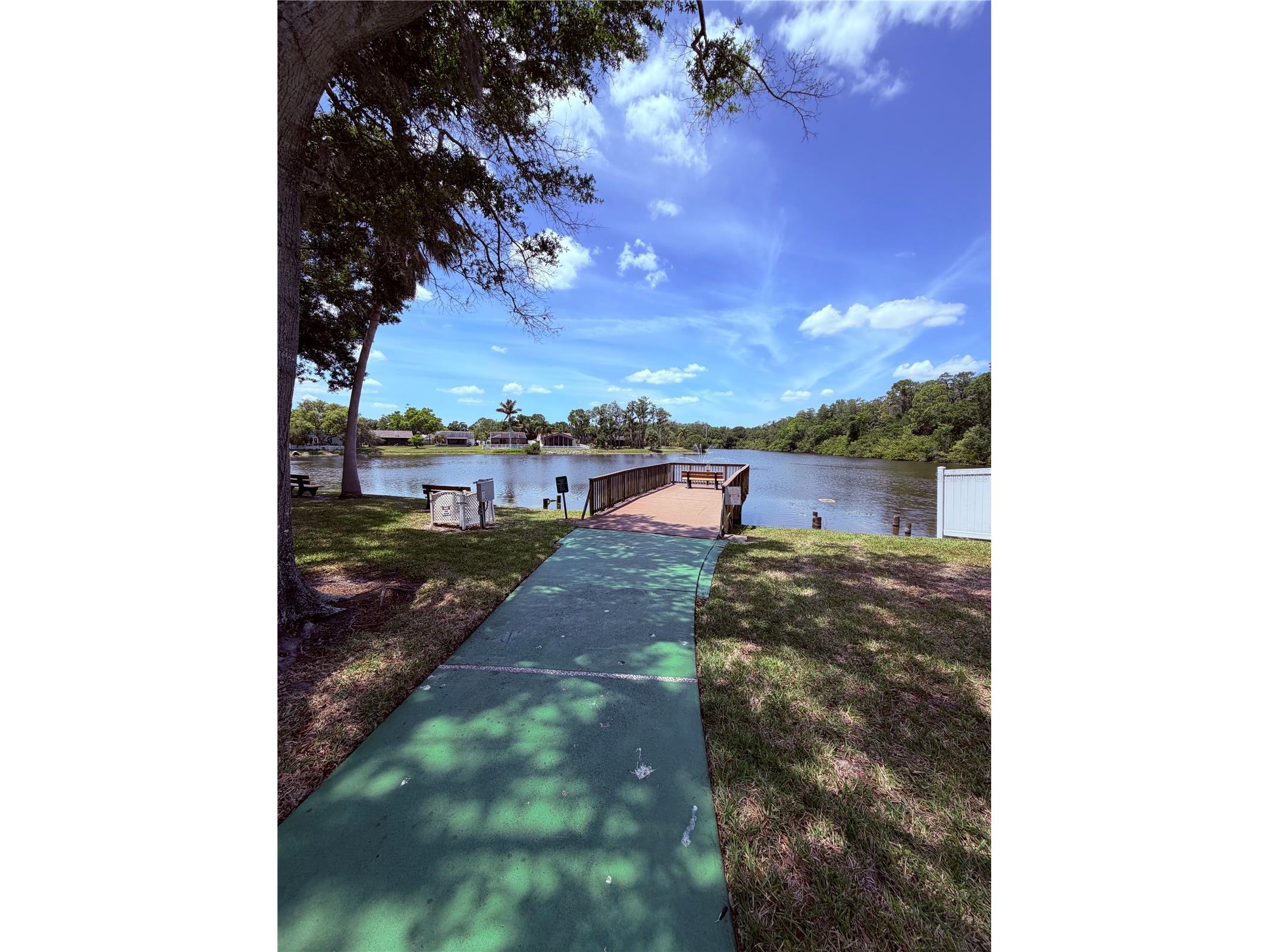 129 Camphor Circle #F Oldsmar FL 34677 TB8500263 image36