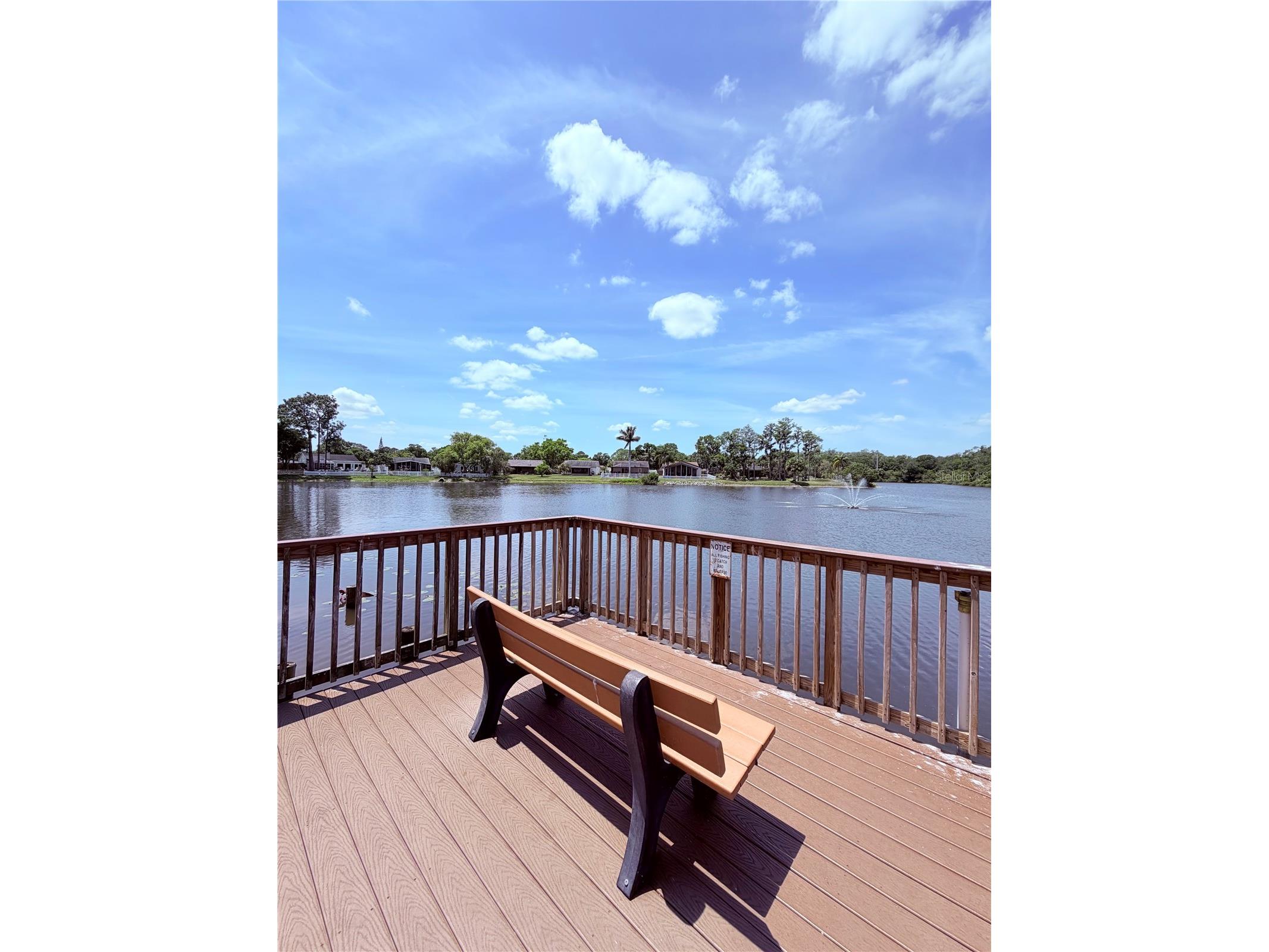 129 Camphor Circle #F Oldsmar FL 34677 TB8500263 image37